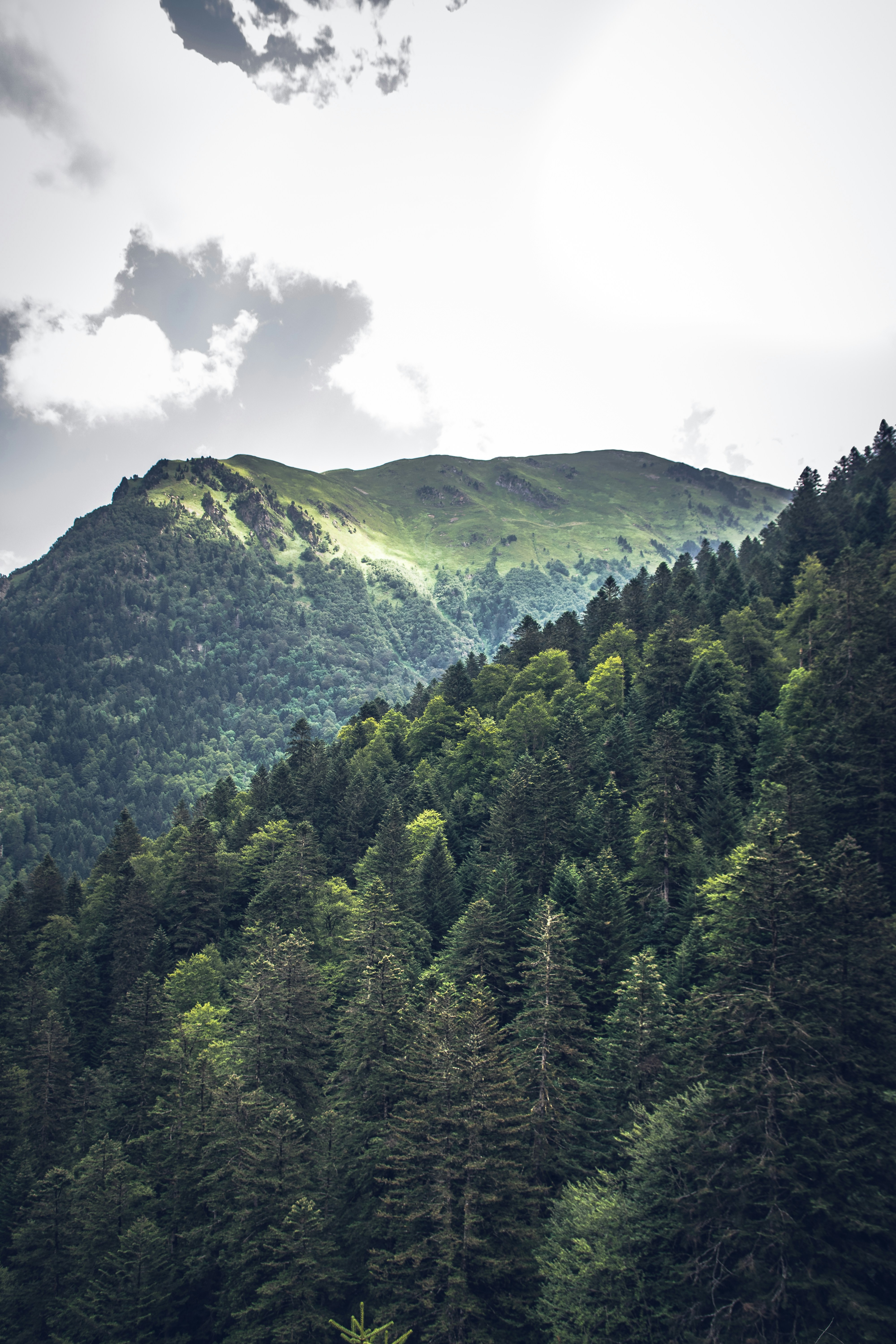 Photo by pablothewarrior