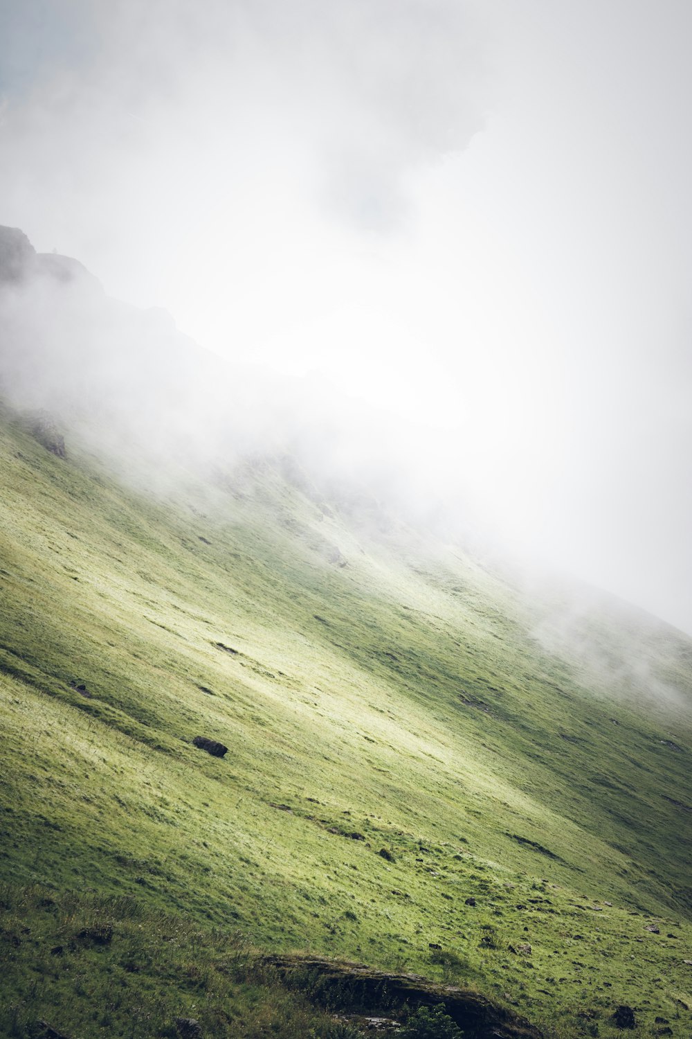 Pente couverte d’herbe par temps de brouillard