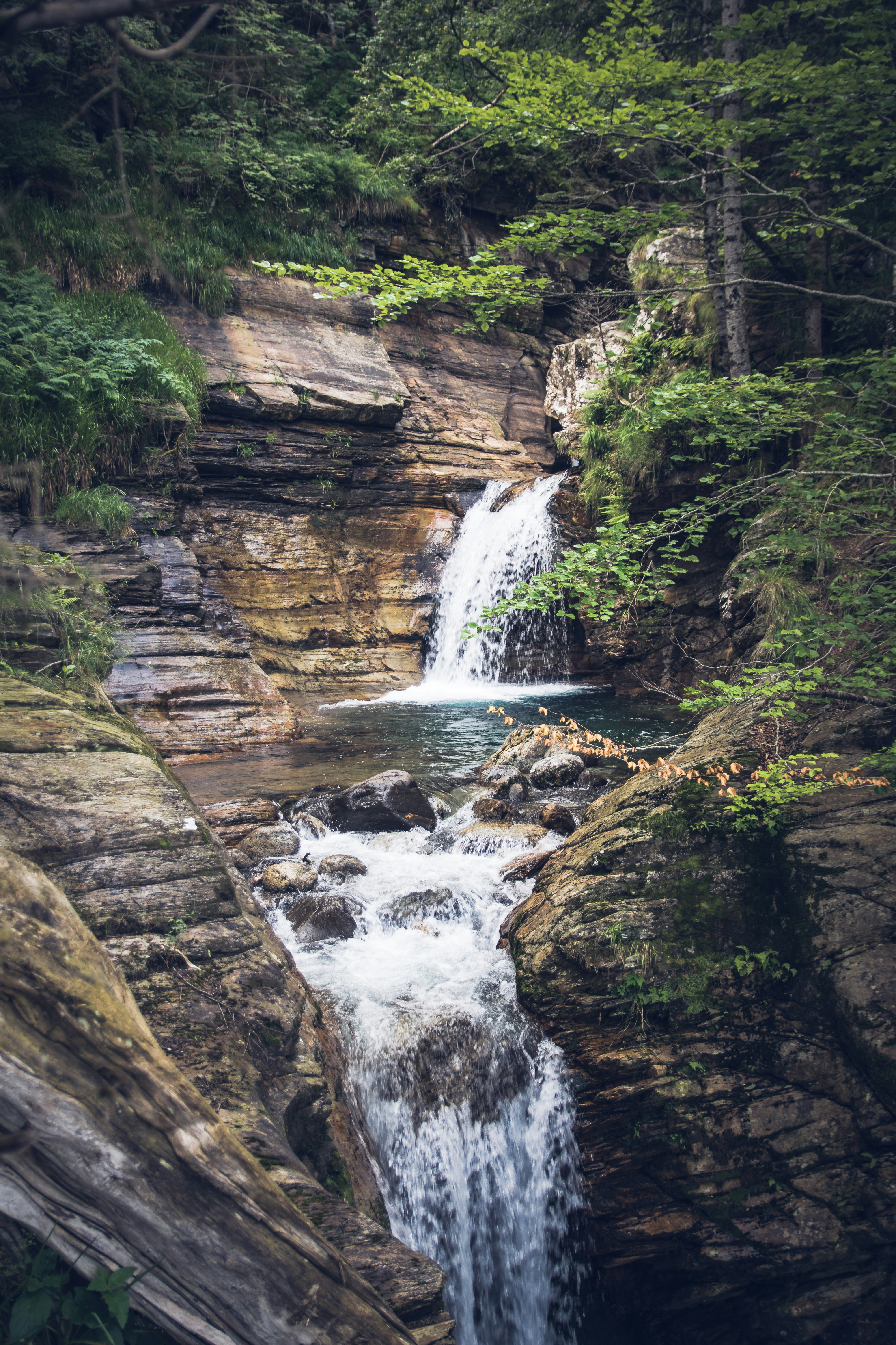 Photo by pablothewarrior