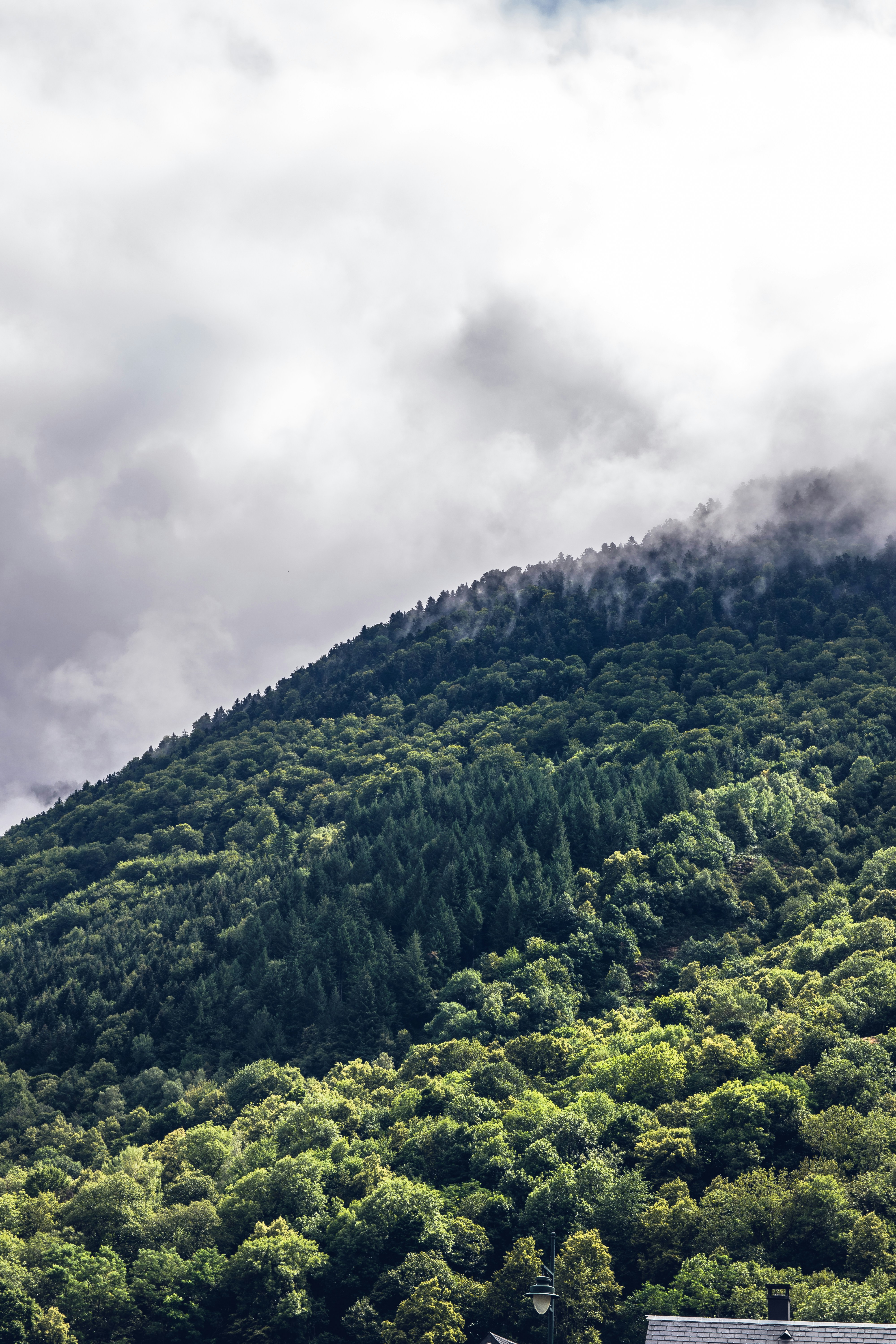 Photo by pablothewarrior