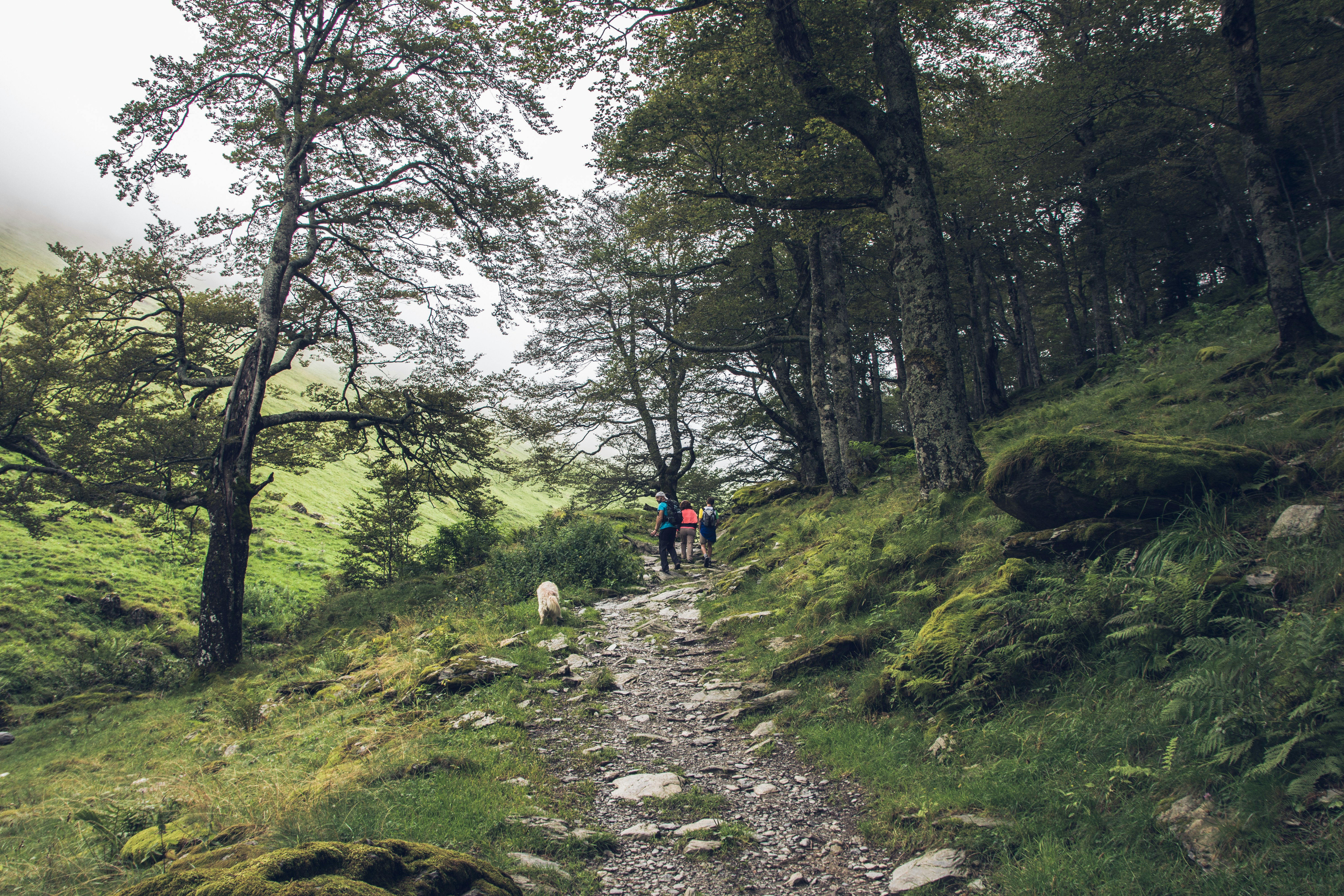 Photo by pablothewarrior