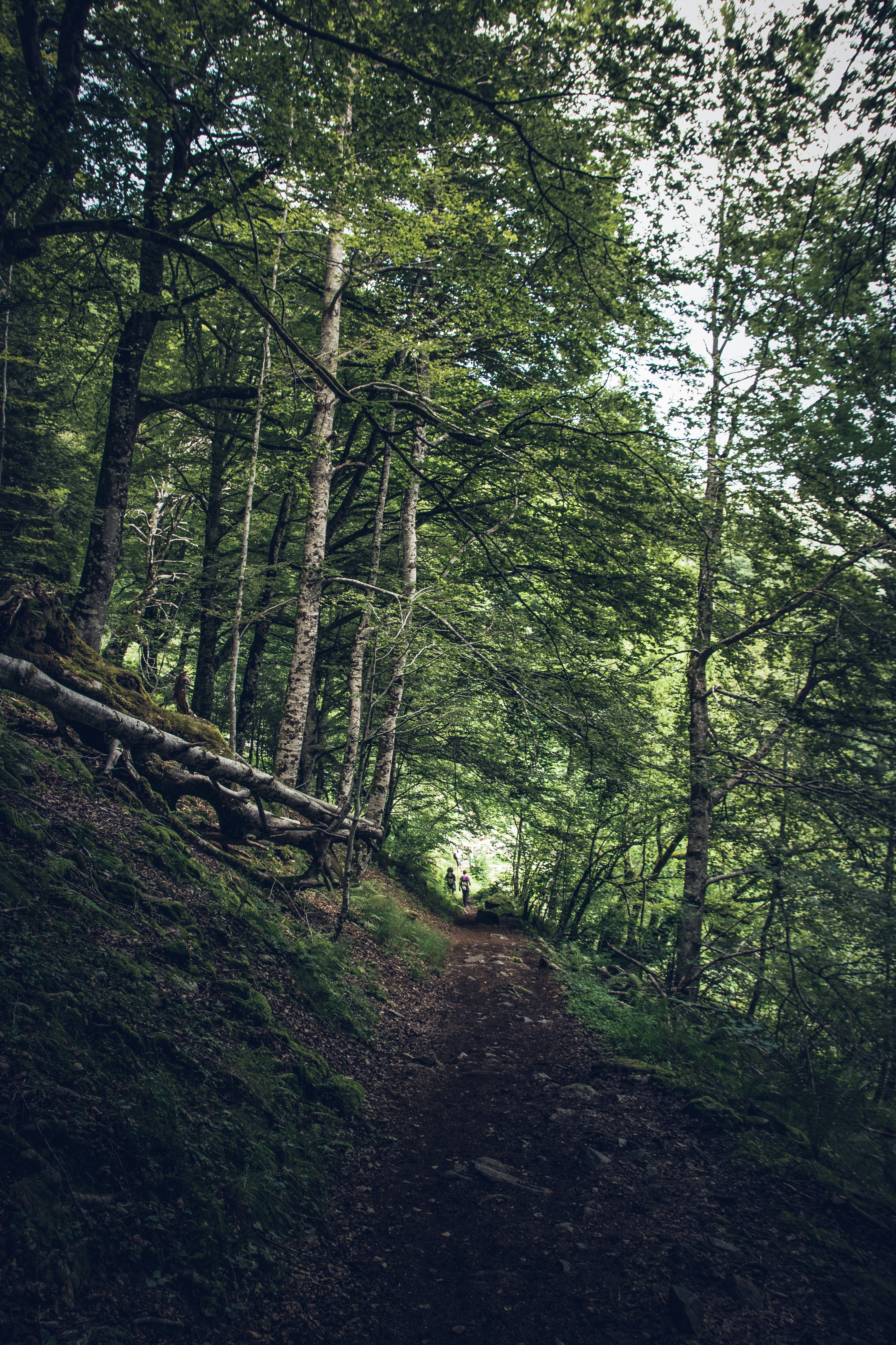 Photo by pablothewarrior