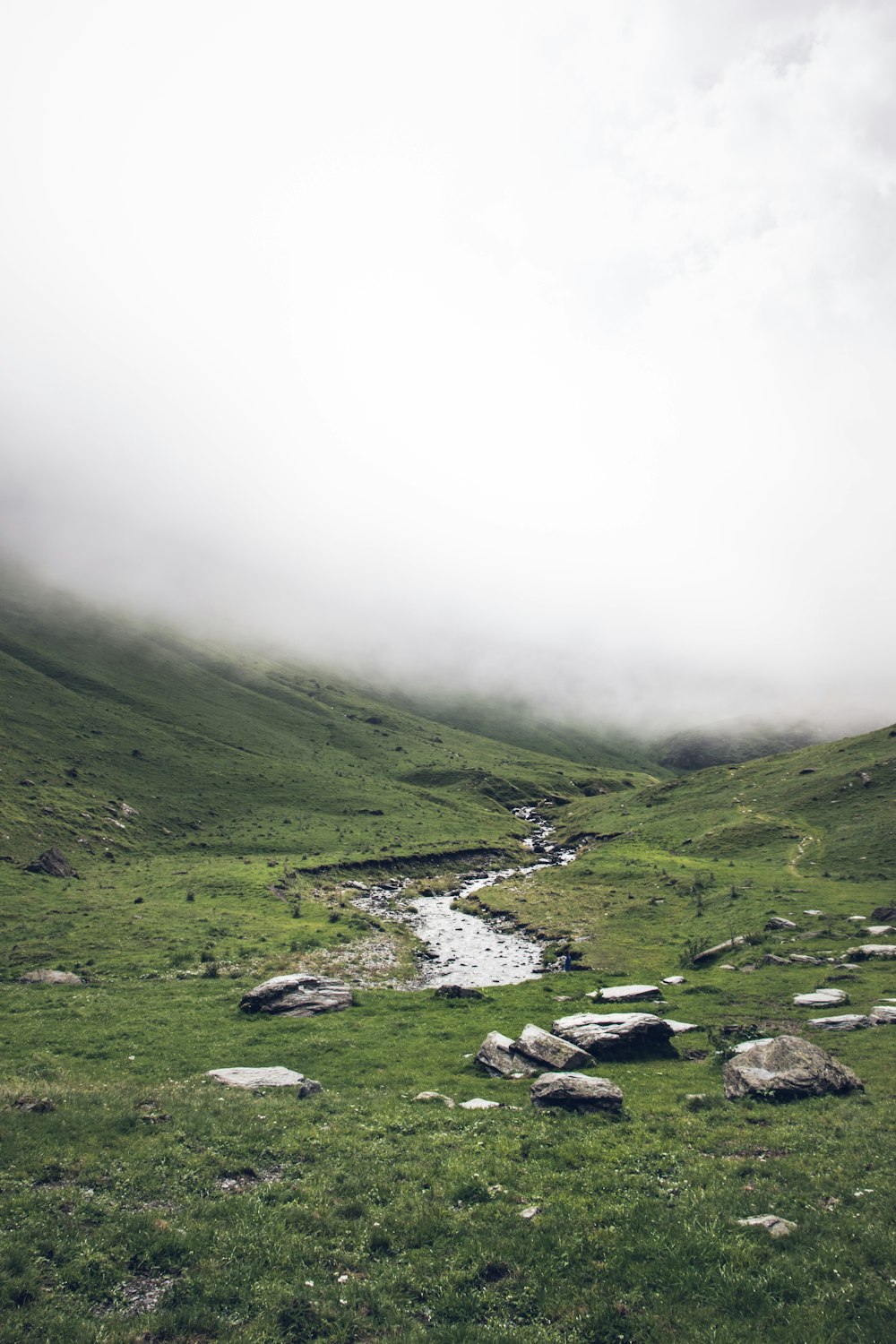 green grass field during foggy weather