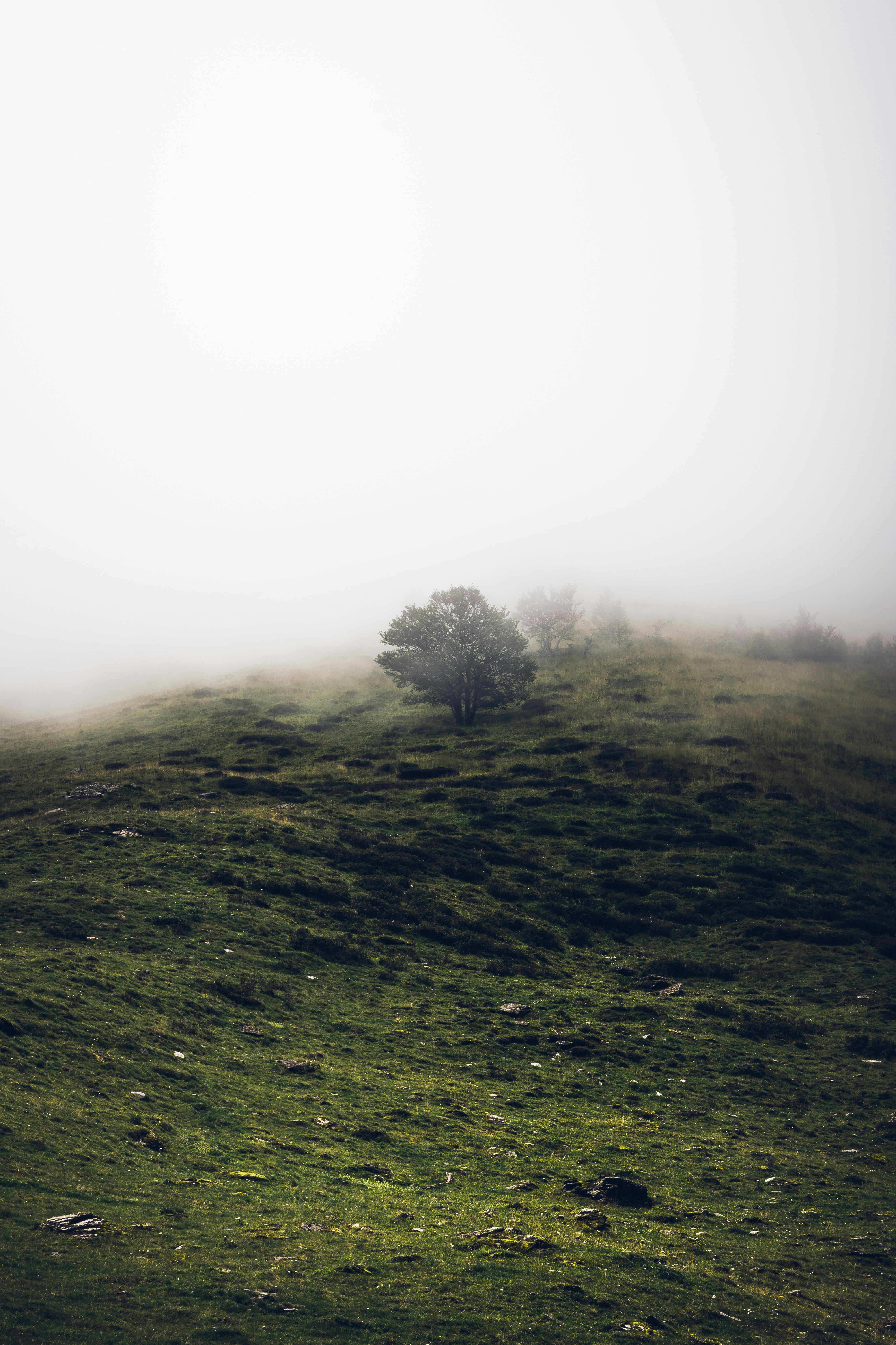 Photo by pablothewarrior