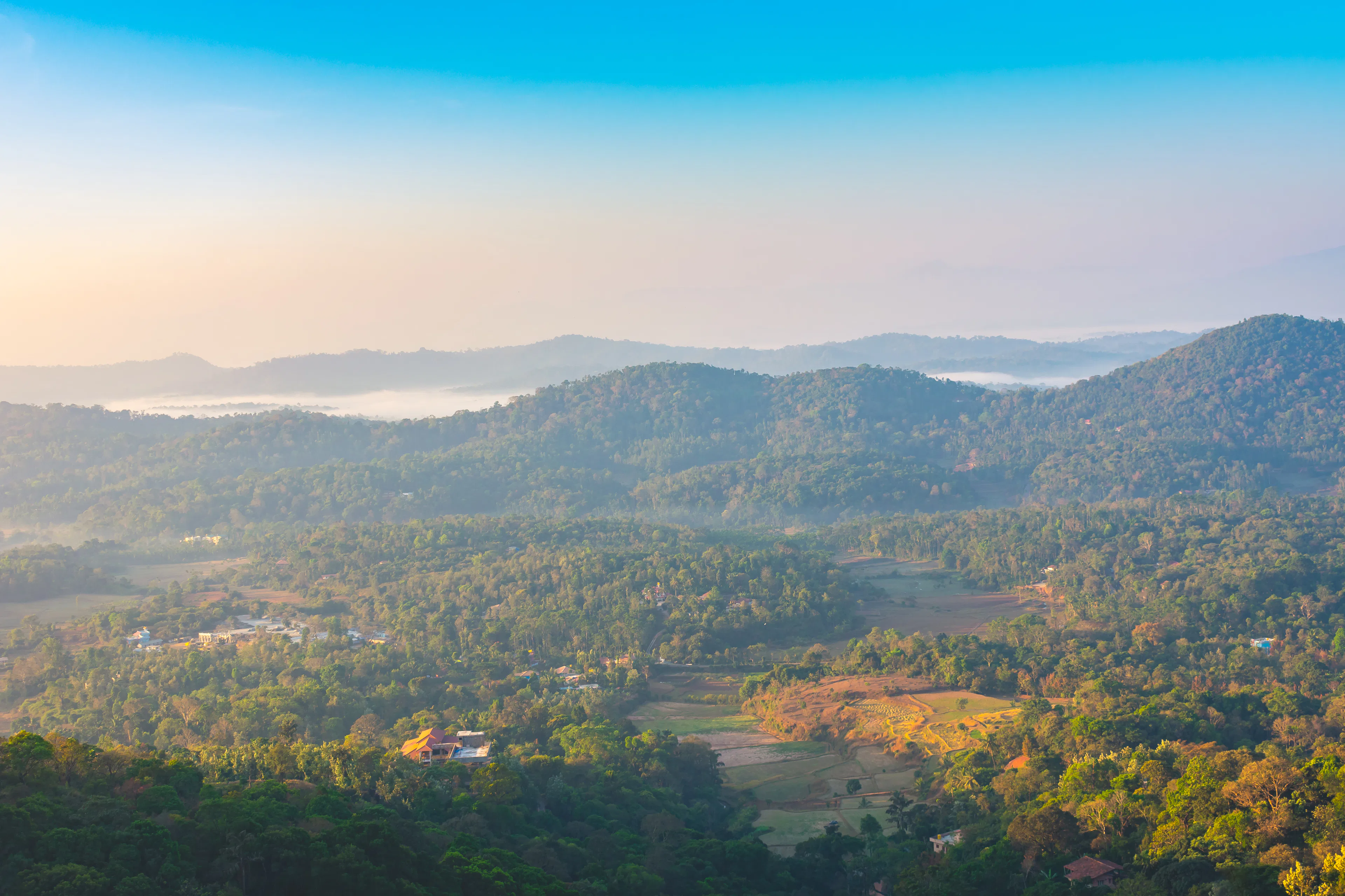 ಕಾಫಿ ತೋಟ ಮತ್ತು ಭತ್ತದ ಗದ್ದೆಗಳಿರುವ ಮಲೆನಾಡಿನ ಕಣಿವೆಯ ಮೇಲೆ ಮುಂಜಾನೆಯ ಮಂಜು
