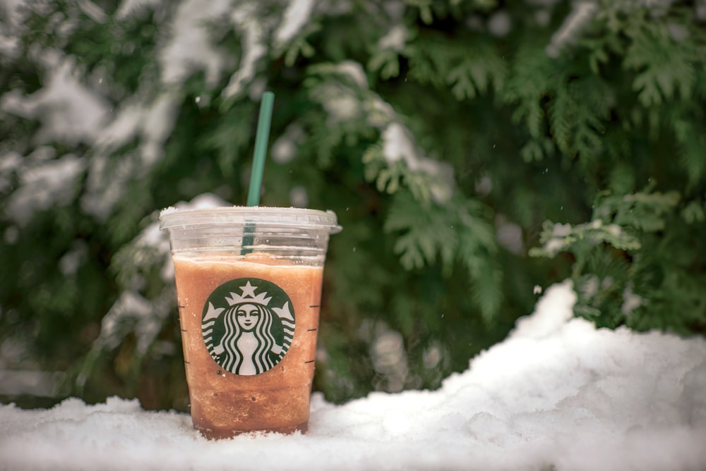 Starbucks iced coffee near green tree
