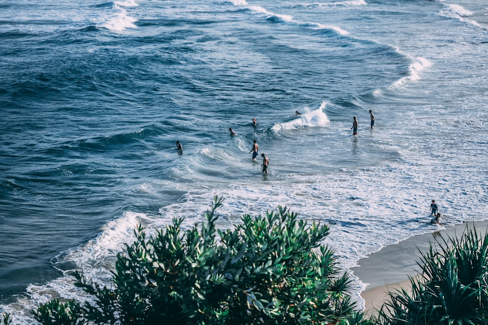 people in sea wave during daytime