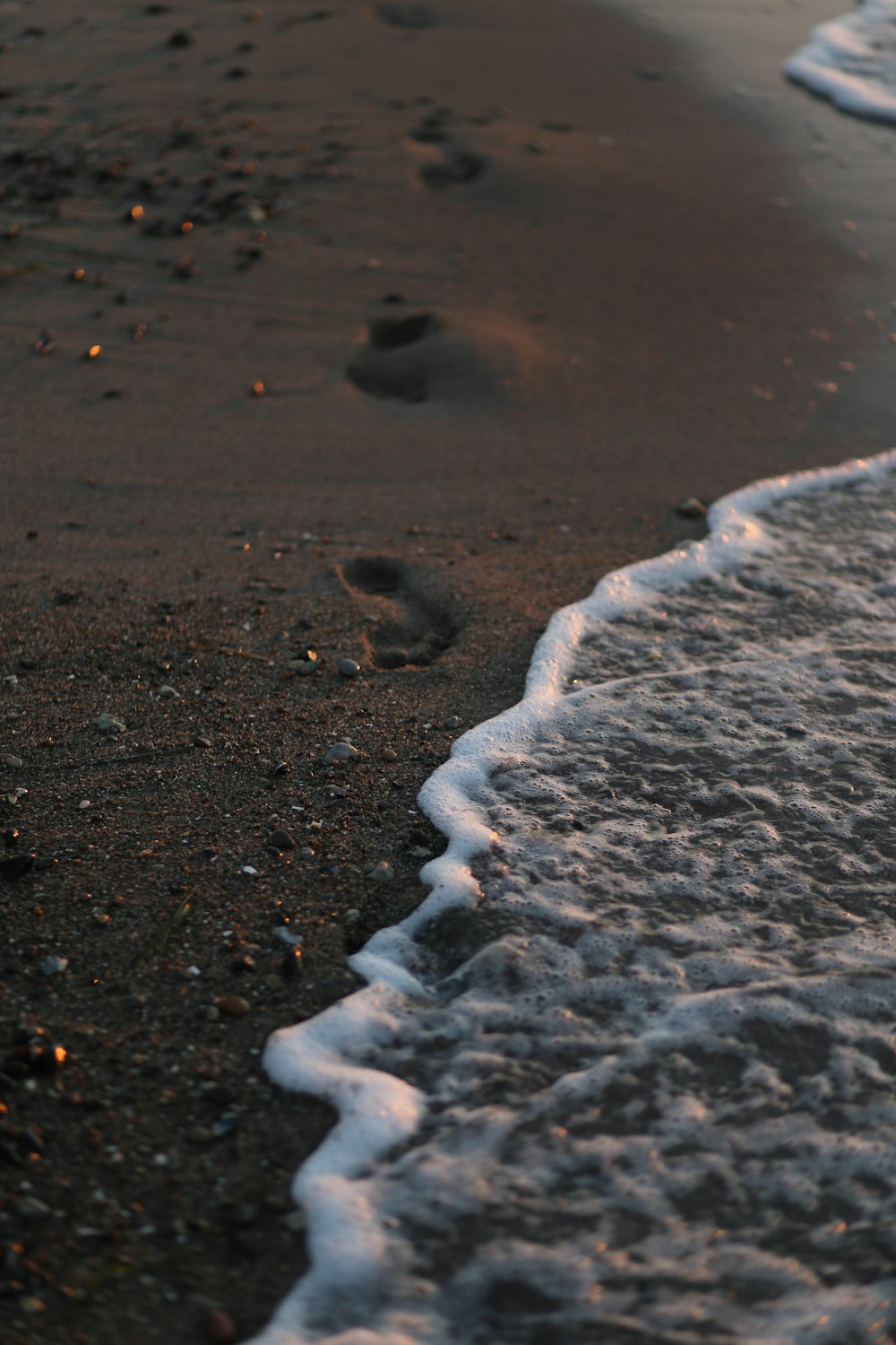 seawater on shore