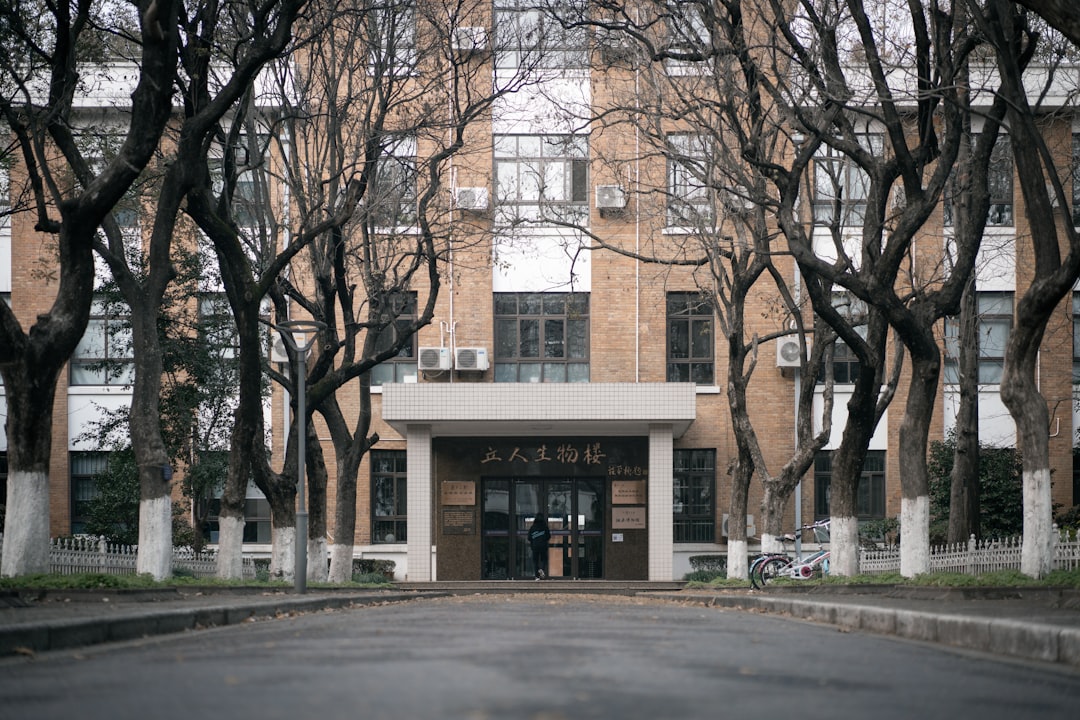 withered trees near building