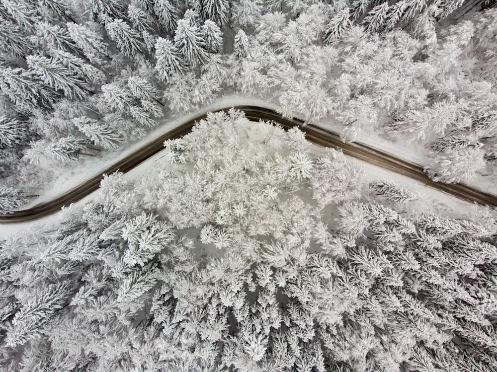 high-angle view of empty roadway