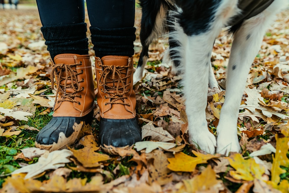person in brown-and-black duck boots stands beside dog