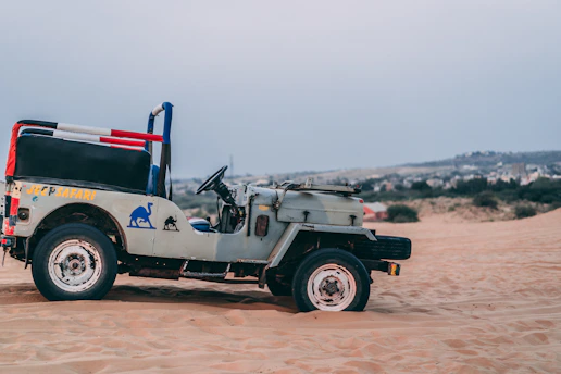 A jeep parked in the golden grasslands with a guide pointing out a distant elephant herd.