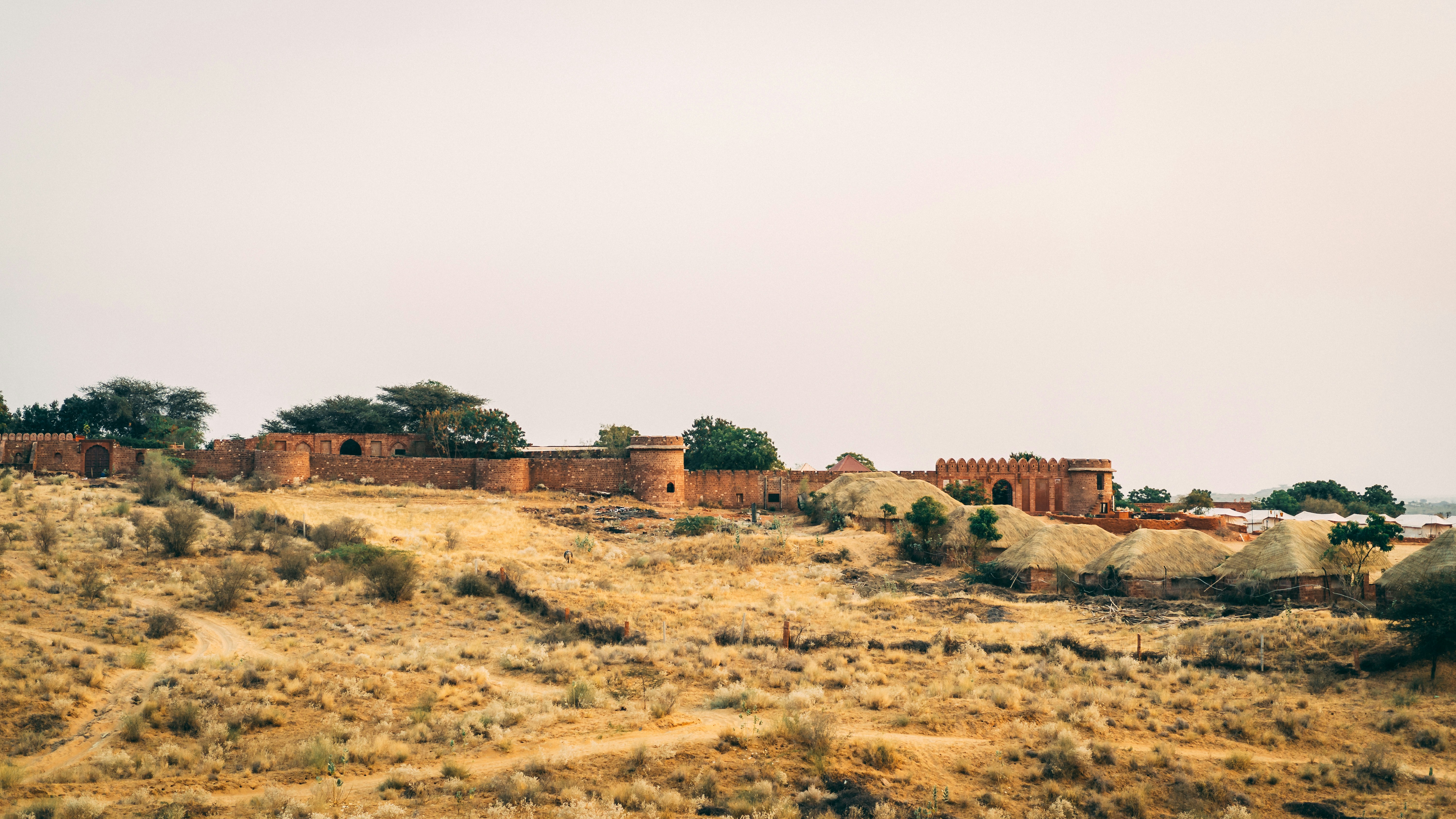 Photo by suicide_chewbacca