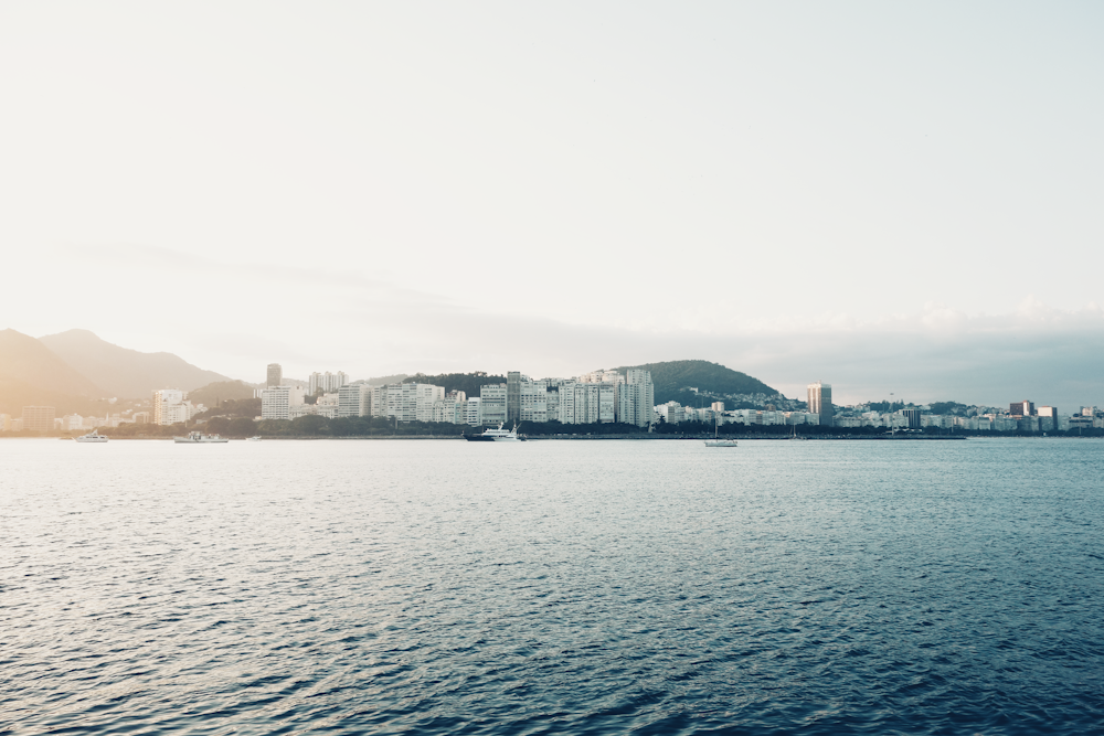 high-rise buildings by the sea