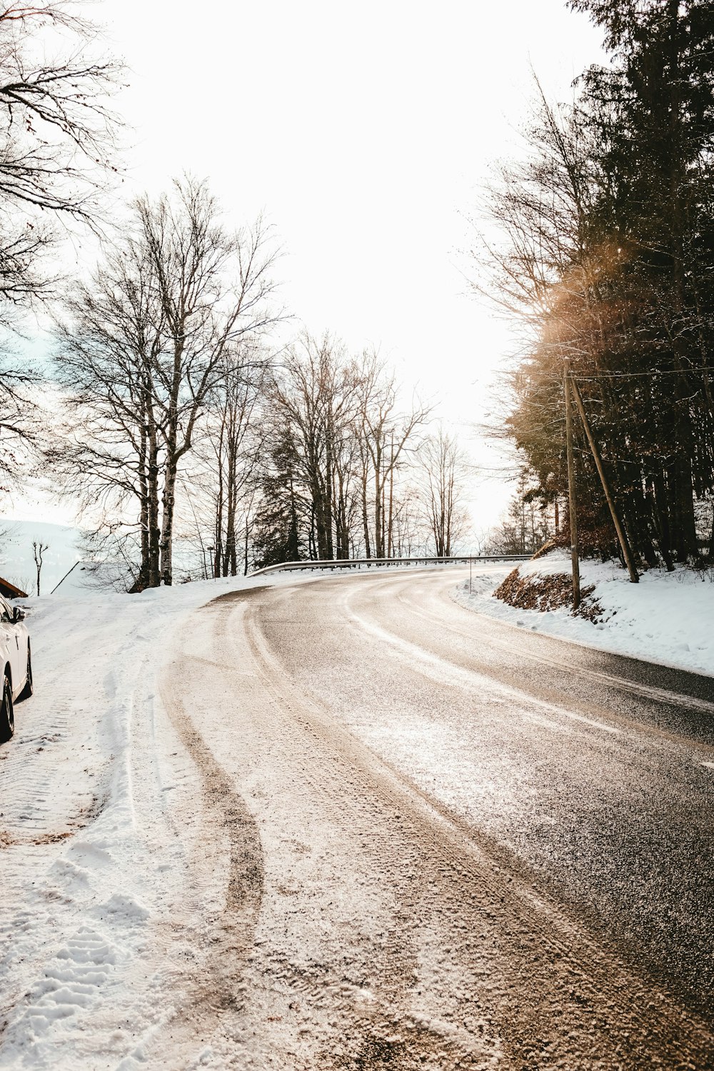 concrete road in between snow covered trees