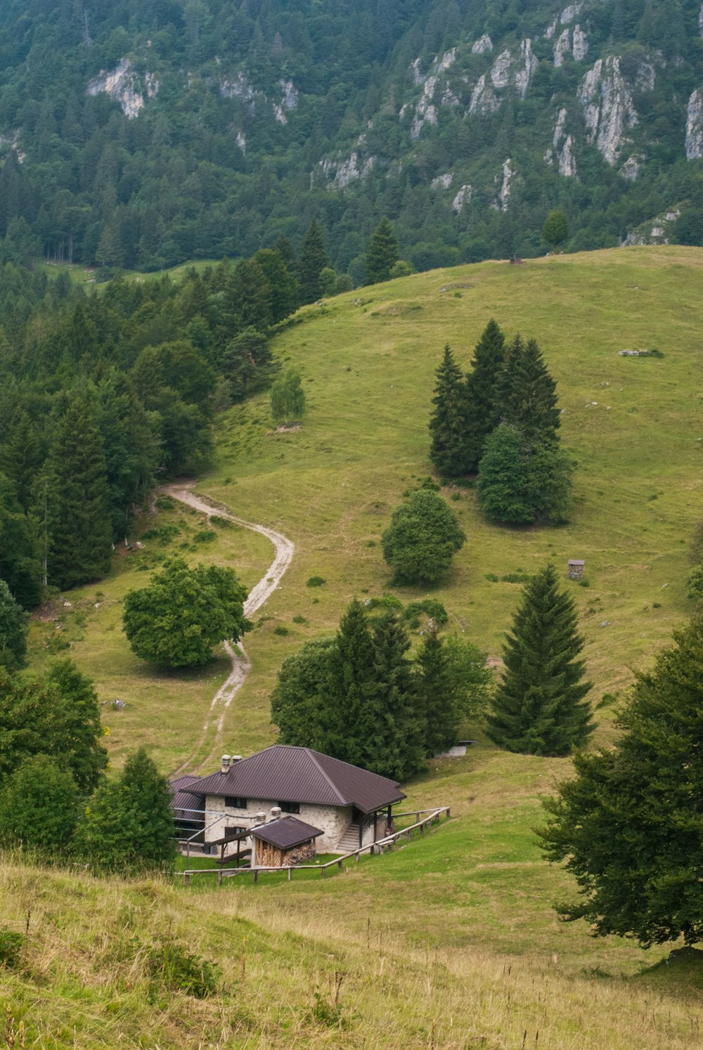 La casa bianca e marrone circondava i pini durante il giorno