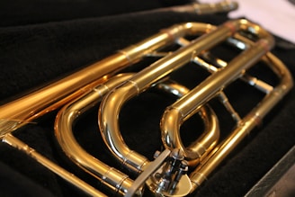 A close-up view of a brass musical instrument, focusing on its coiled tubing and shiny metal surface. The instrument is placed on a dark, possibly velvet, background that contrasts with its polished golden color.