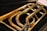 A close-up view of a brass musical instrument, focusing on its coiled tubing and shiny metal surface. The instrument is placed on a dark, possibly velvet, background that contrasts with its polished golden color.