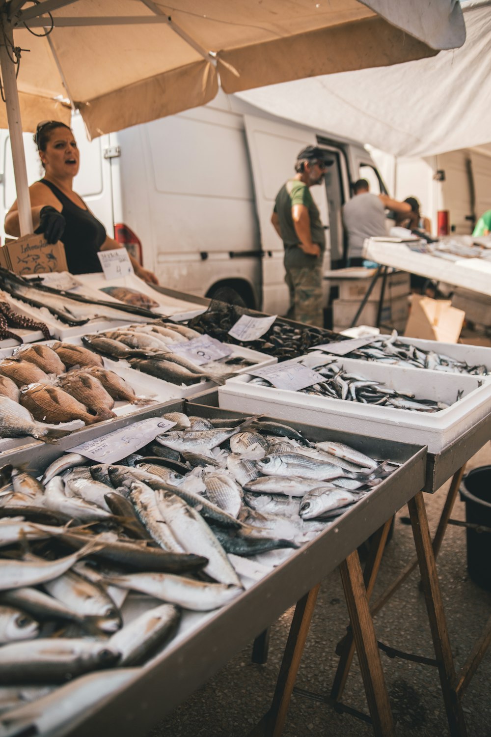 femme debout près du poisson