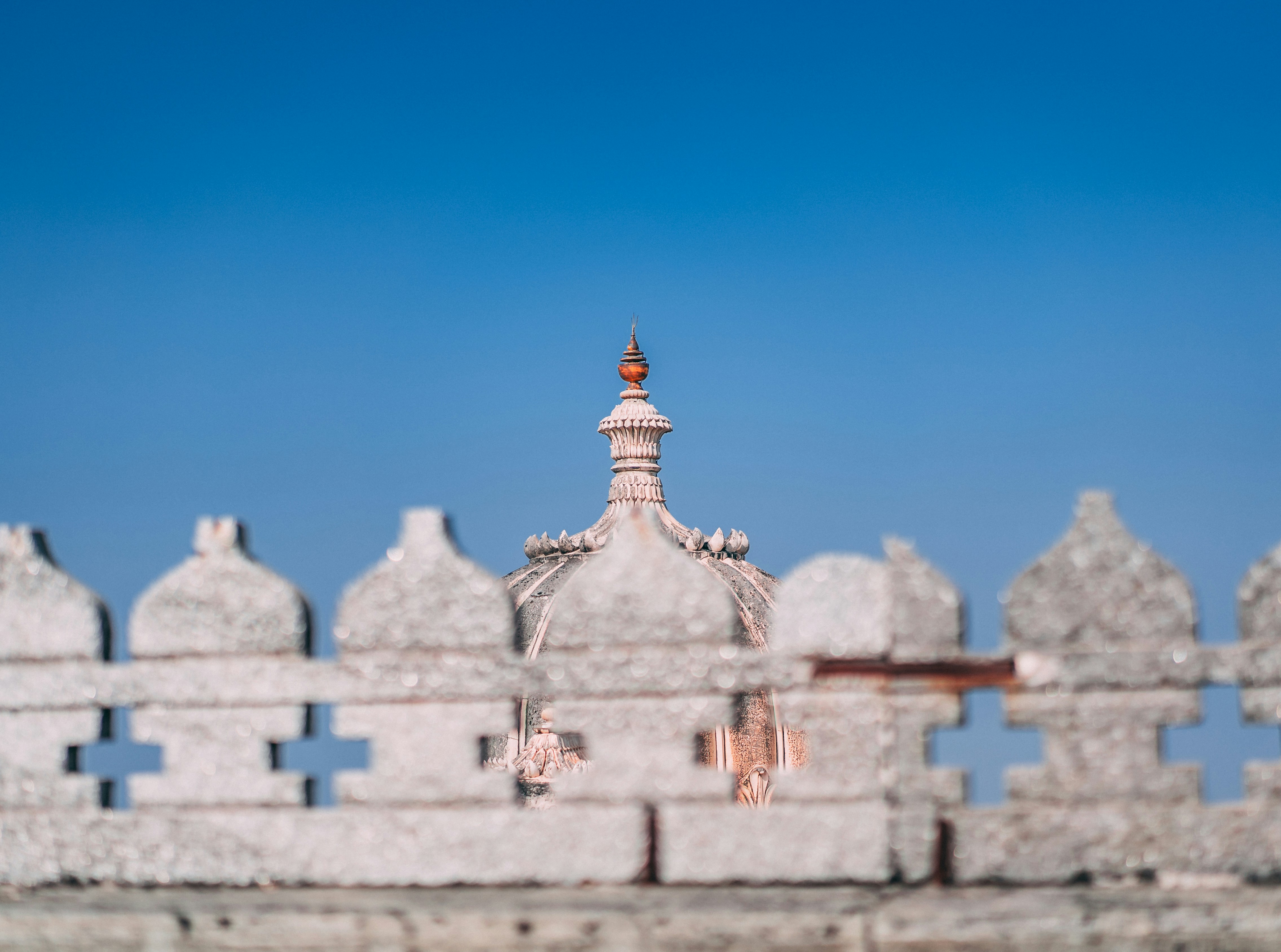 Photo by suicide_chewbacca