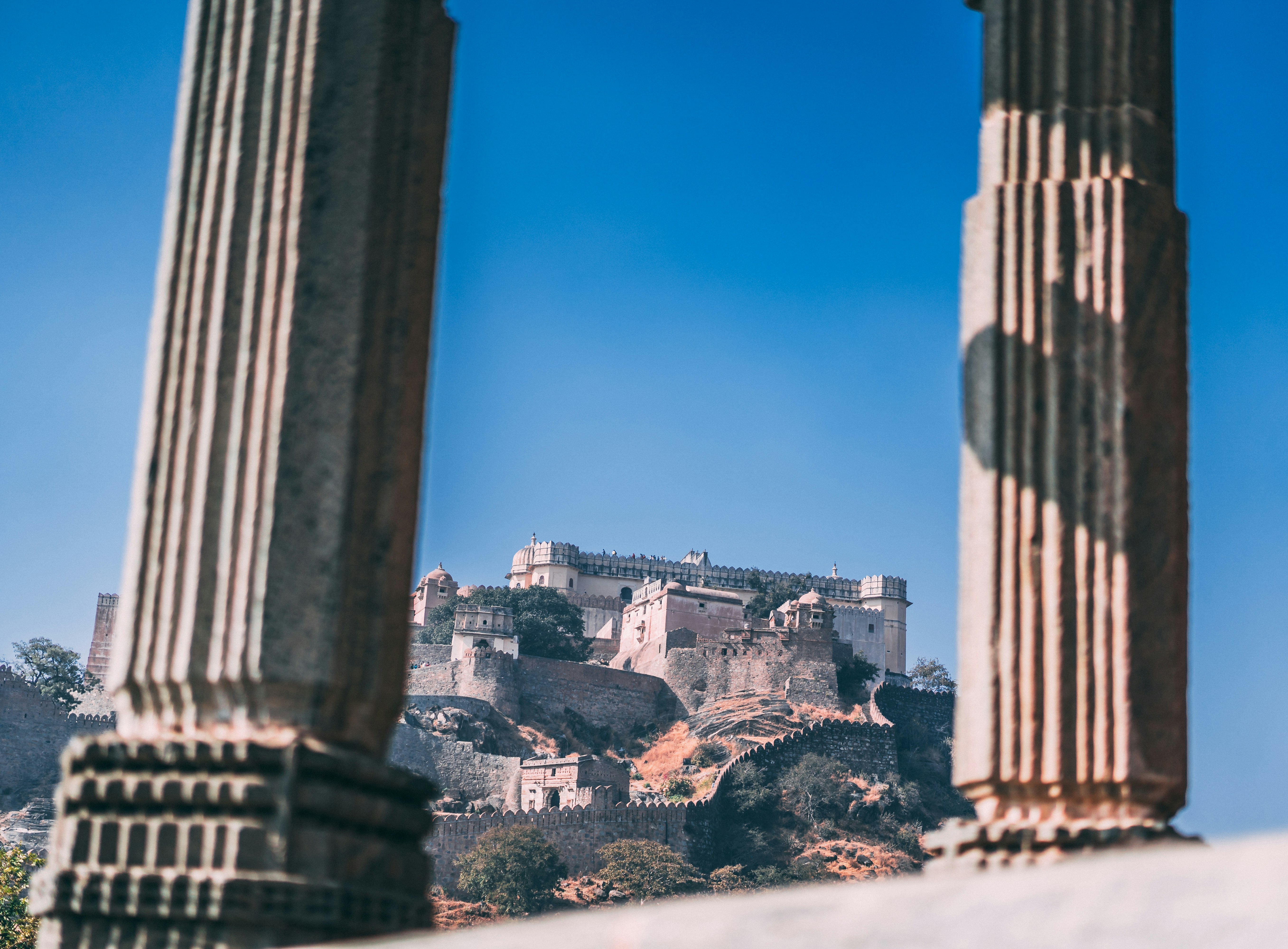 Photo by suicide_chewbacca