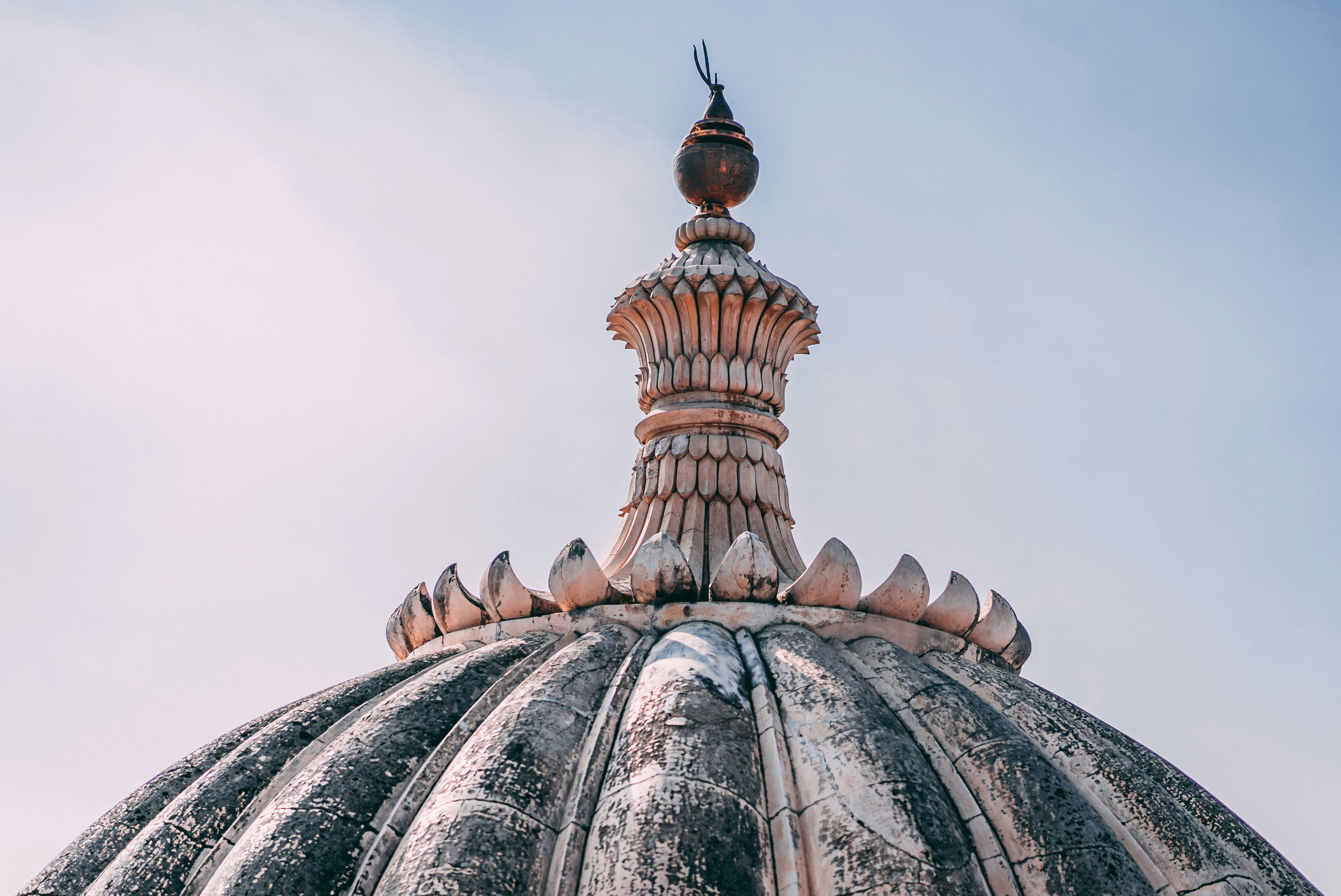 Photo by suicide_chewbacca