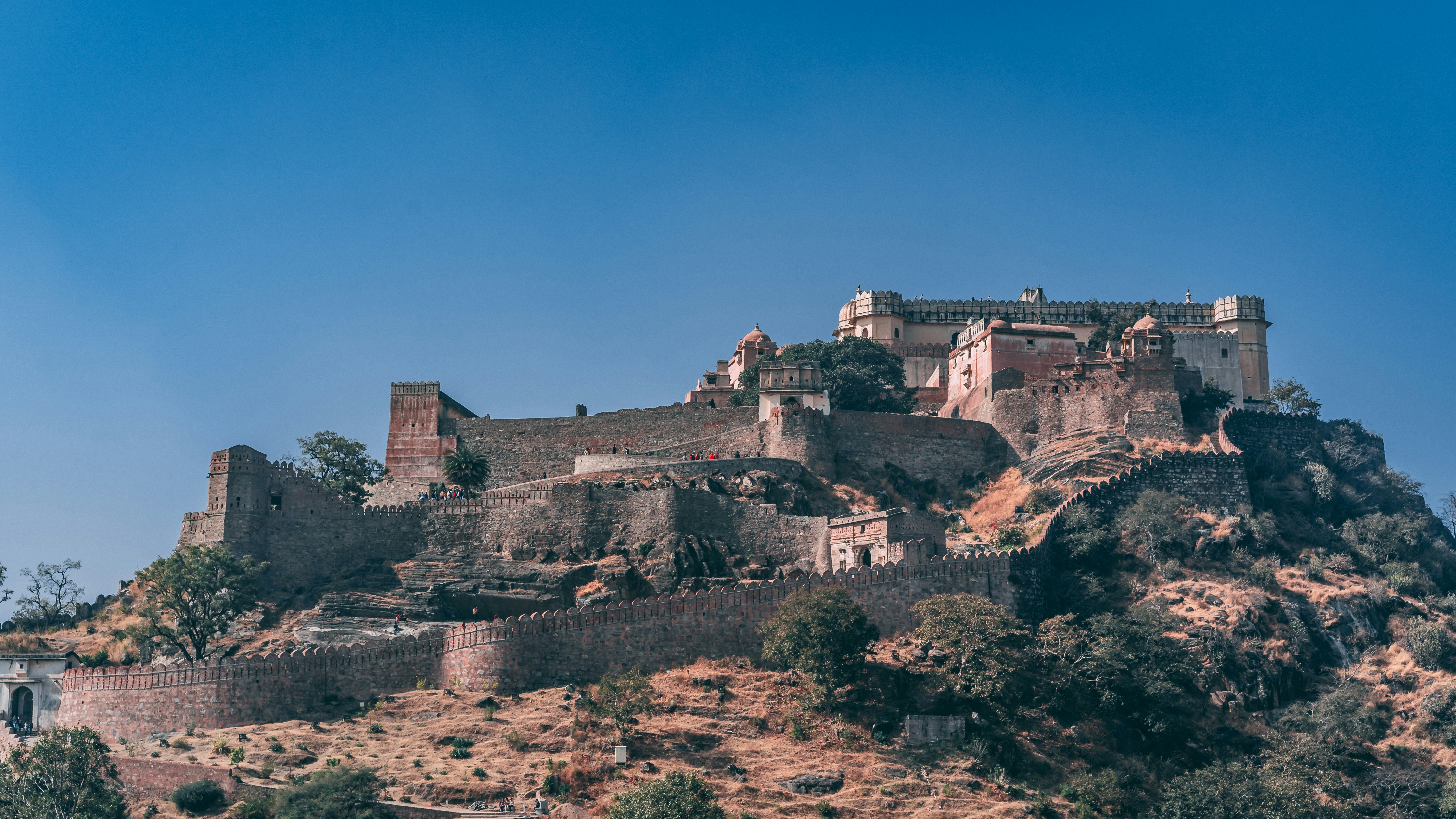 Photo by suicide_chewbacca