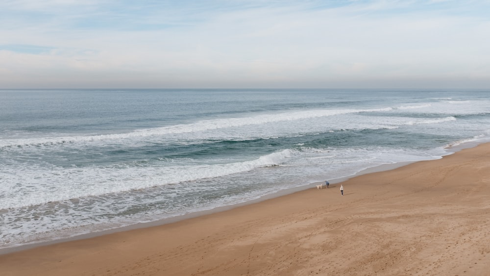 person near shore