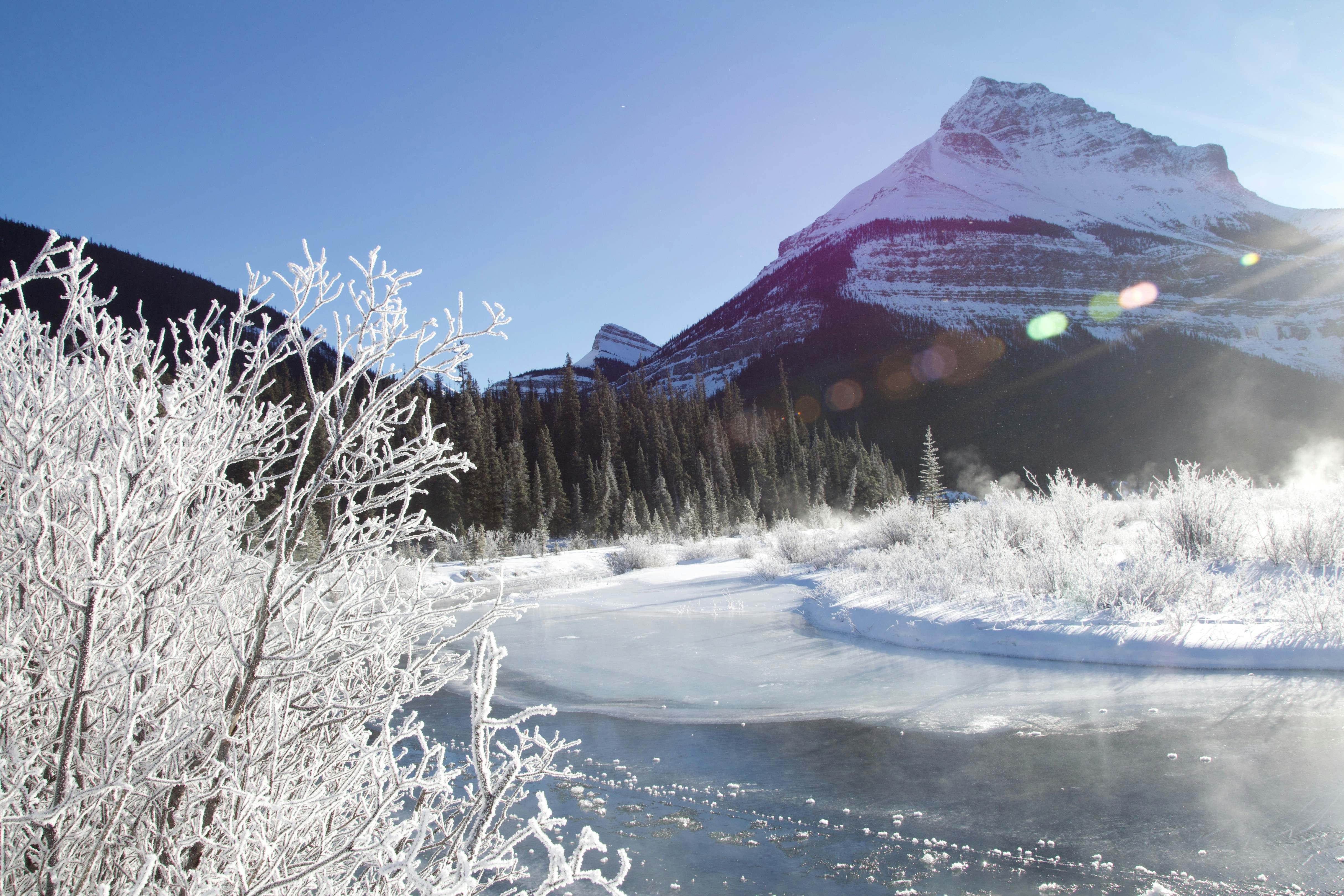 Photo by xsanneknoops