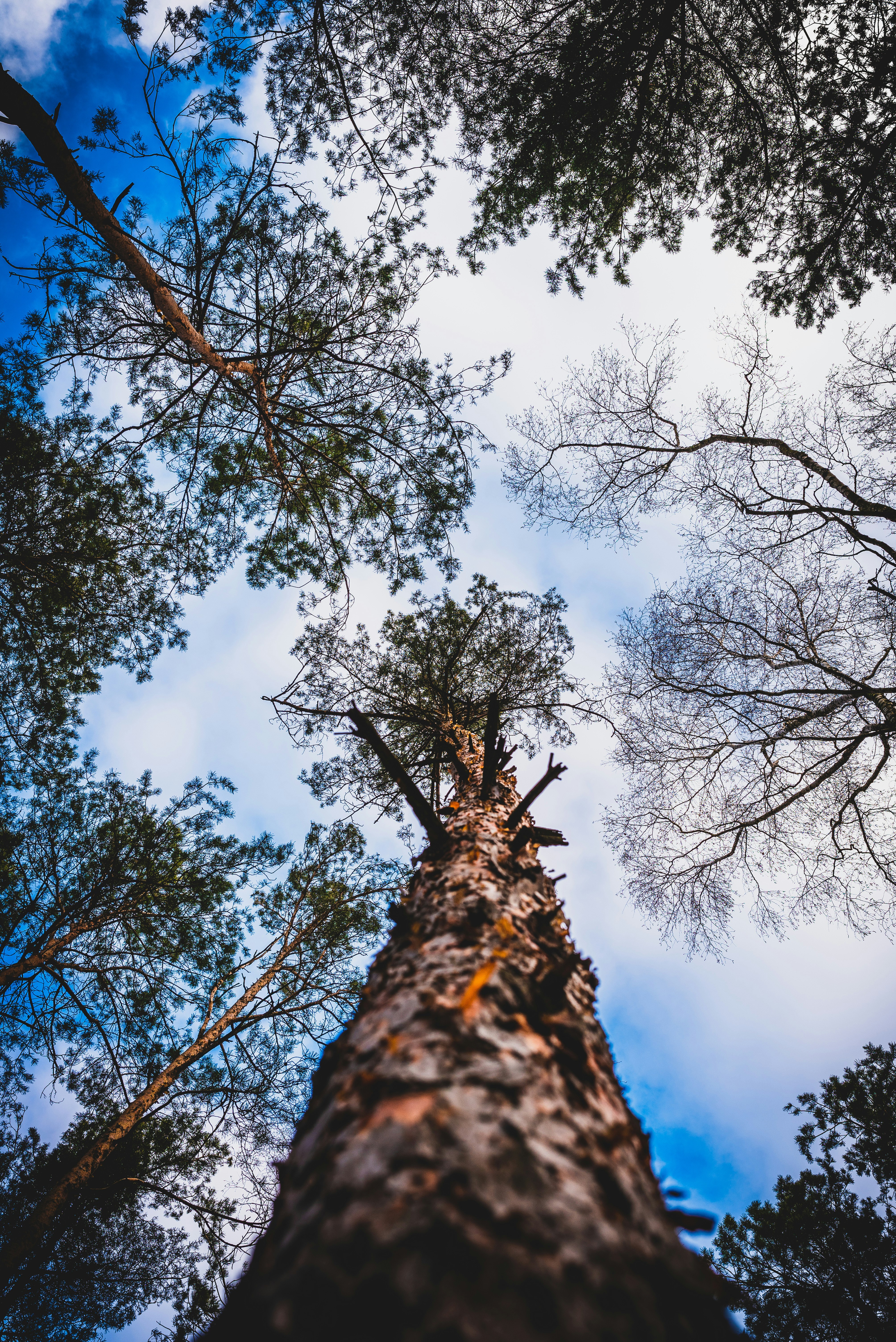 Photo by patrykgauza