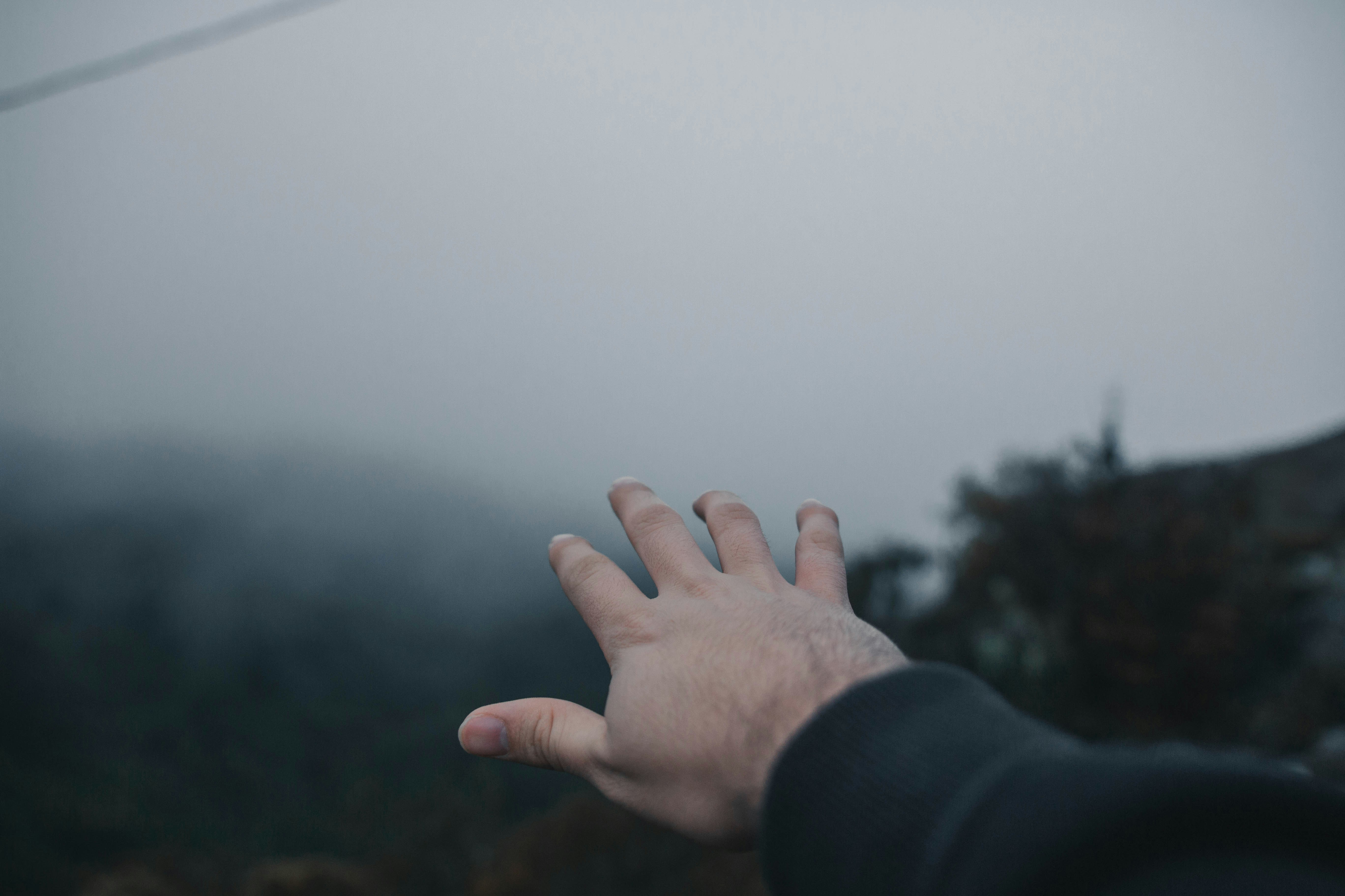 photo-1547938854-e7da9d830357?ixid=M3wxMjA3fDB8MXxzZWFyY2h8MTV8fCVFRCU4RiVBQyVFQyVCMiU5QyUyMCVFQyVCNiU5QyVFQyU5RSVBNSVFQyU5NSU4OCVFQiVBNyU4OCUyMCVFQyU5RSU5OCVFRCU5NSU5OCVFQiU4QSU5NCUyMCVFQSVCMyVCM3xlbnwwfHx8fDE3NDkyNTMwOTF8MA\u0026ixlib=rb-4.1.0