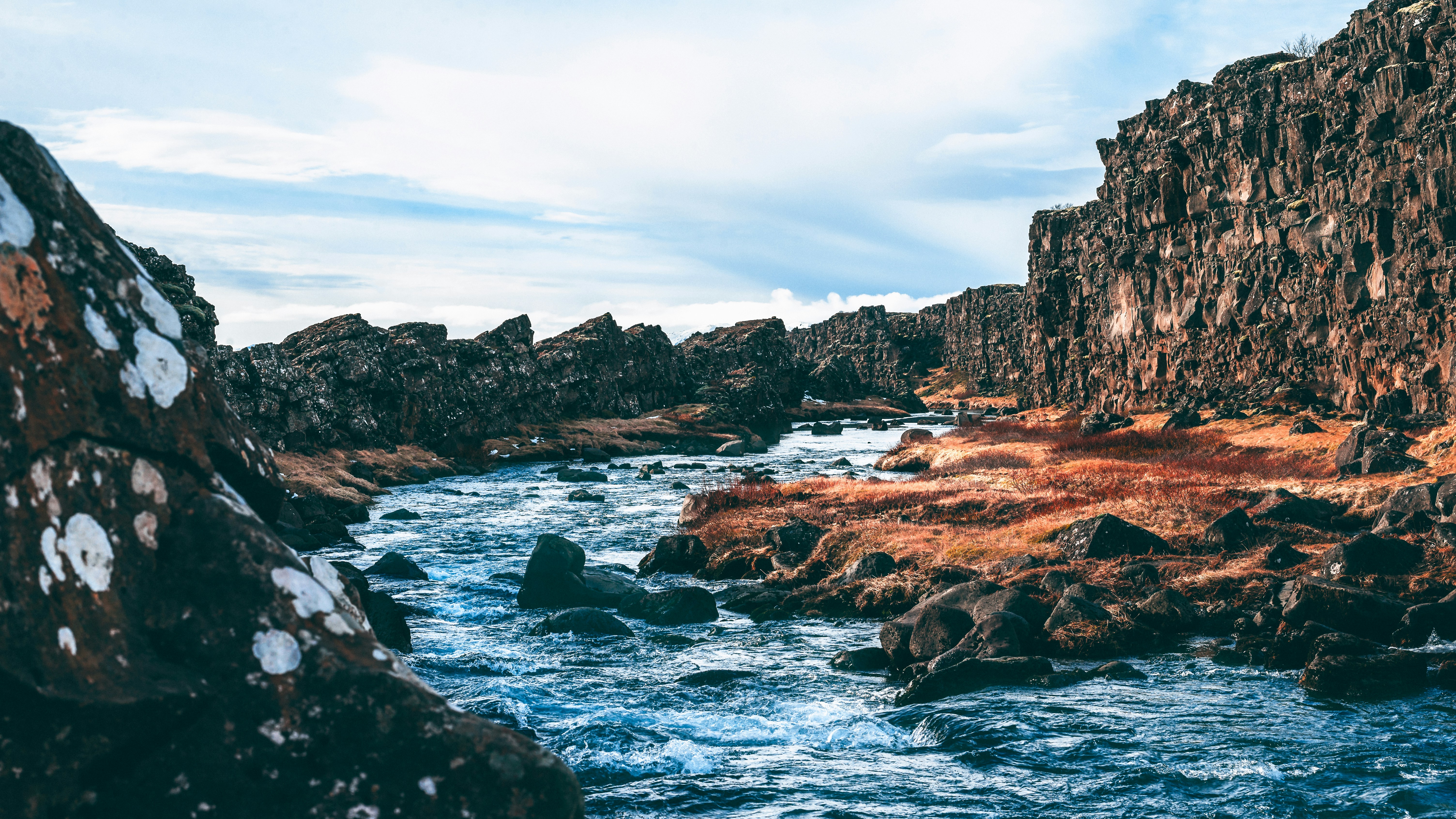 Photo by colinmoorephotography