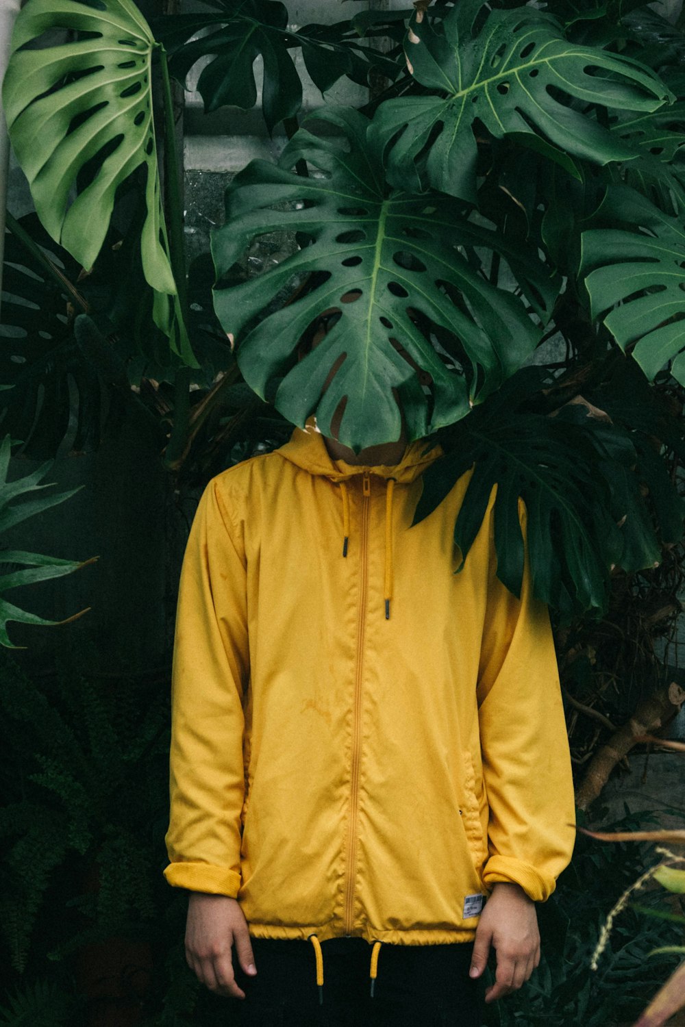 Yellow zip up hoodie jacket