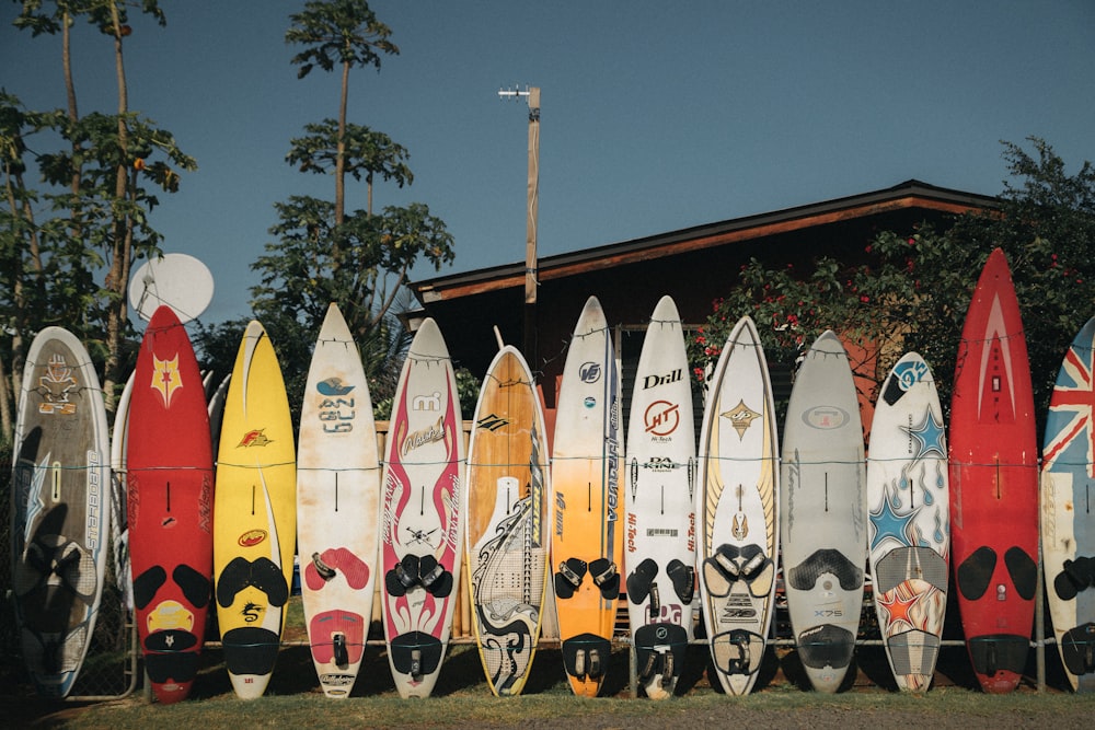 Stands de planches de surf assorties en plein champ pendant la journée