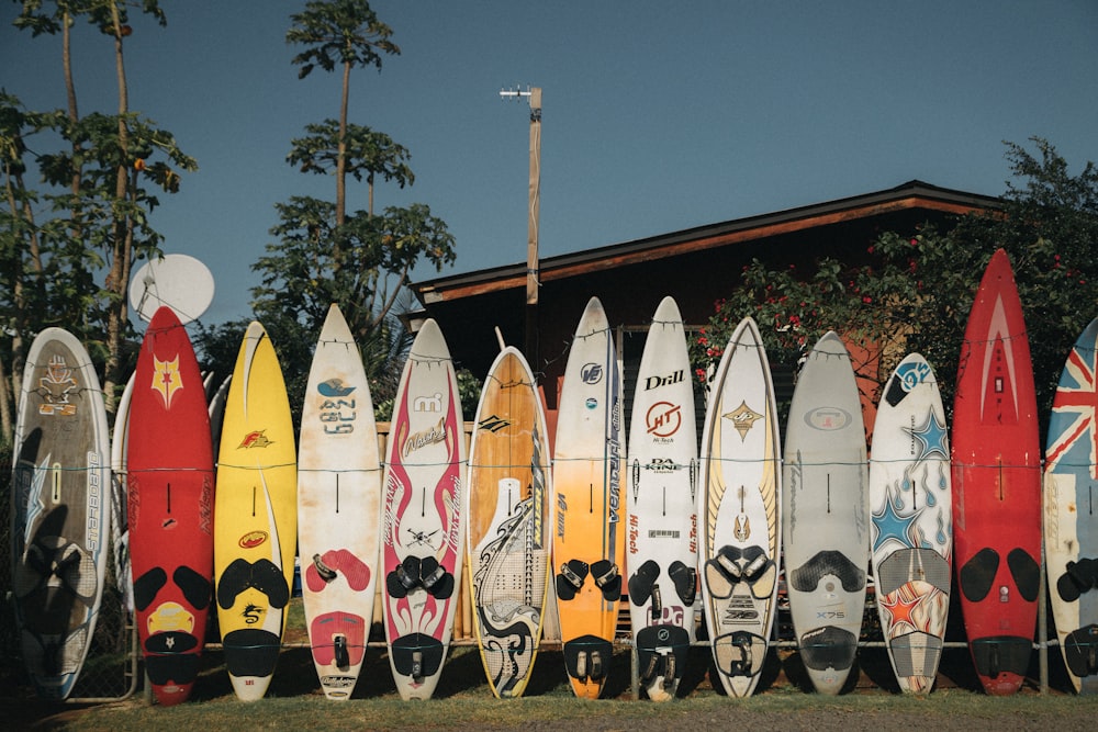 assorted surfing boards stands on open field during daytime
