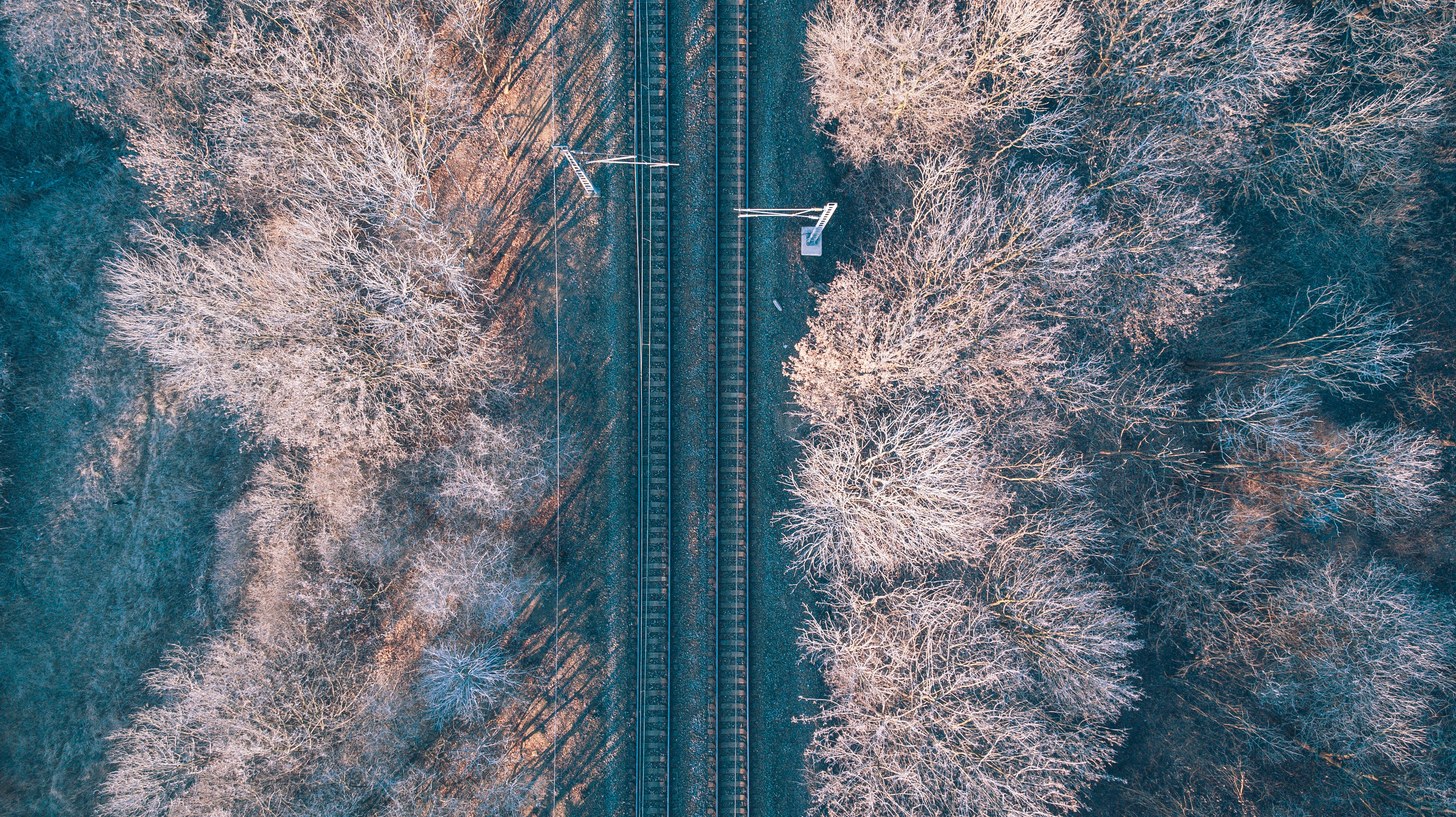Photo aérienne d’une voie ferrée entre des arbres à feuilles brunes pendant la journée