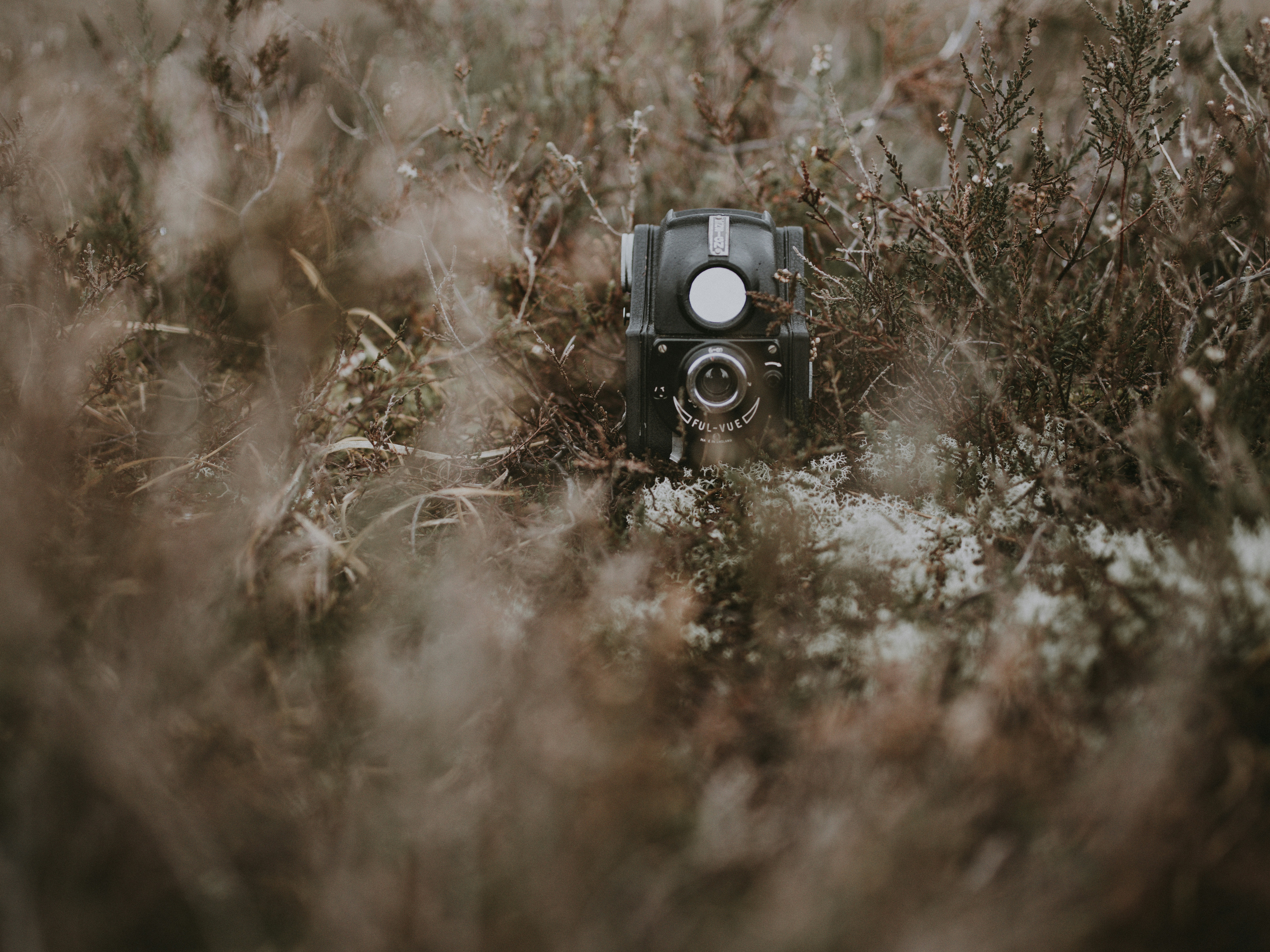 Photo by anniespratt