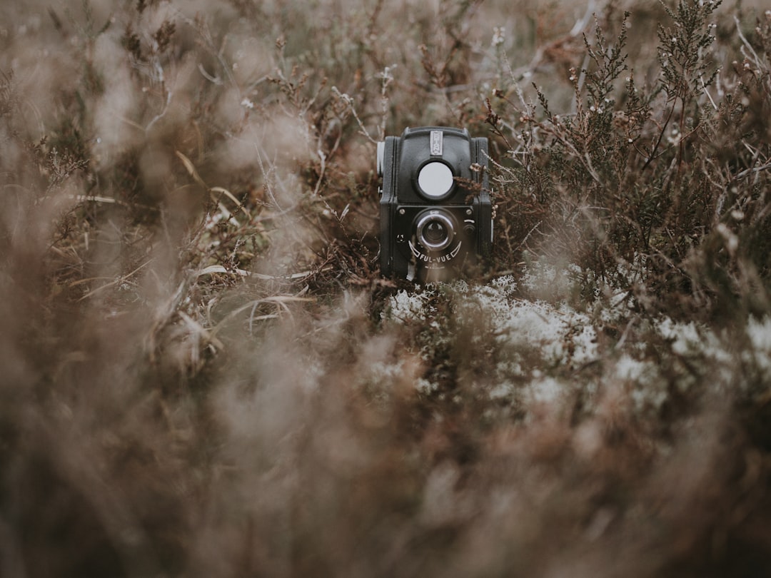 black twin reflex camera on ground