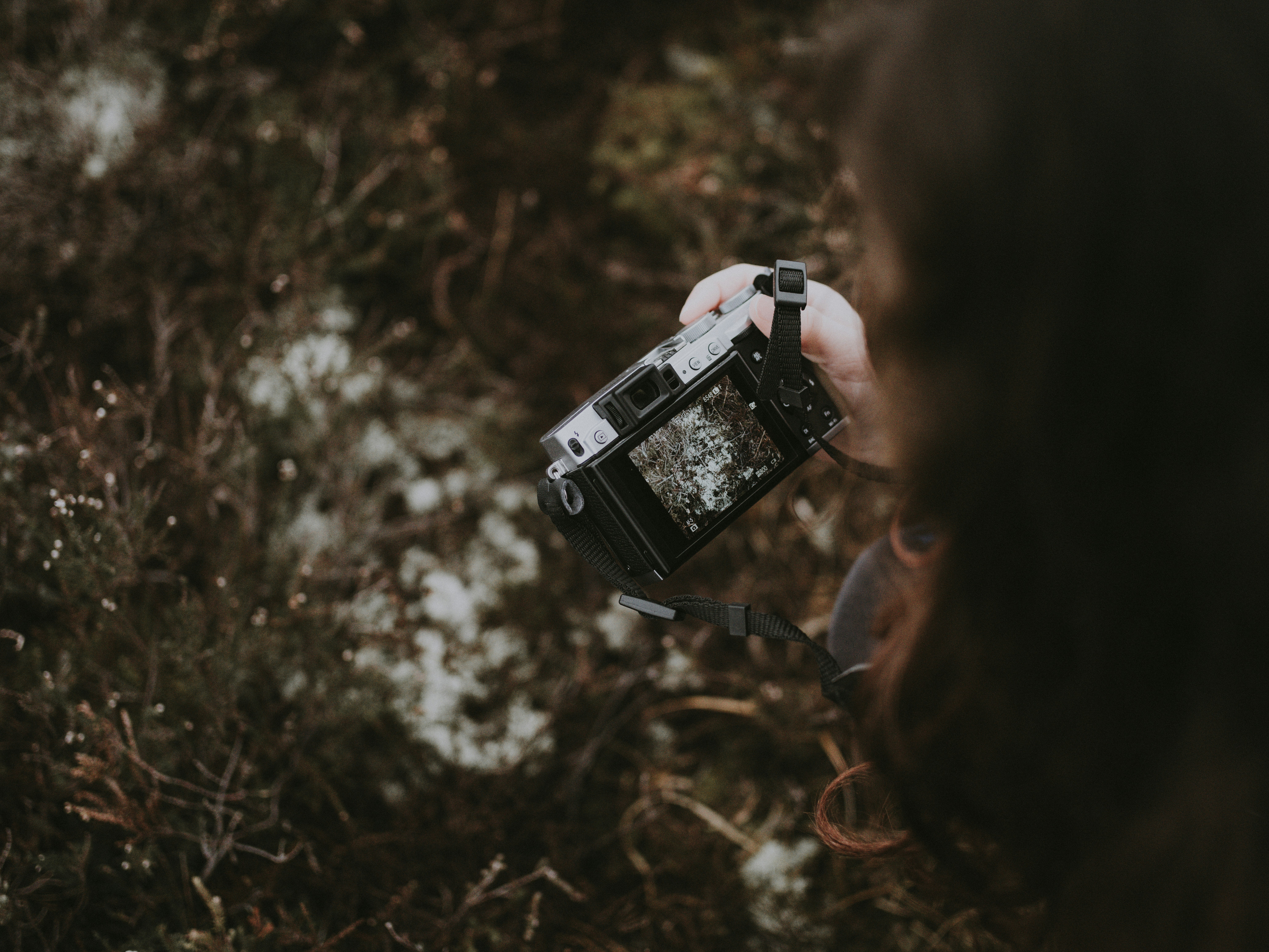 person holds camera and takes photo of flower