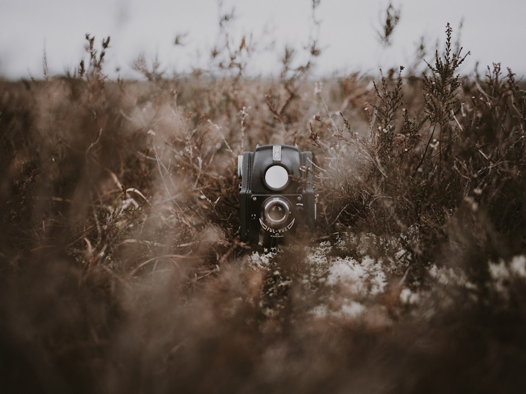 close up photo of black camera on brown grass field