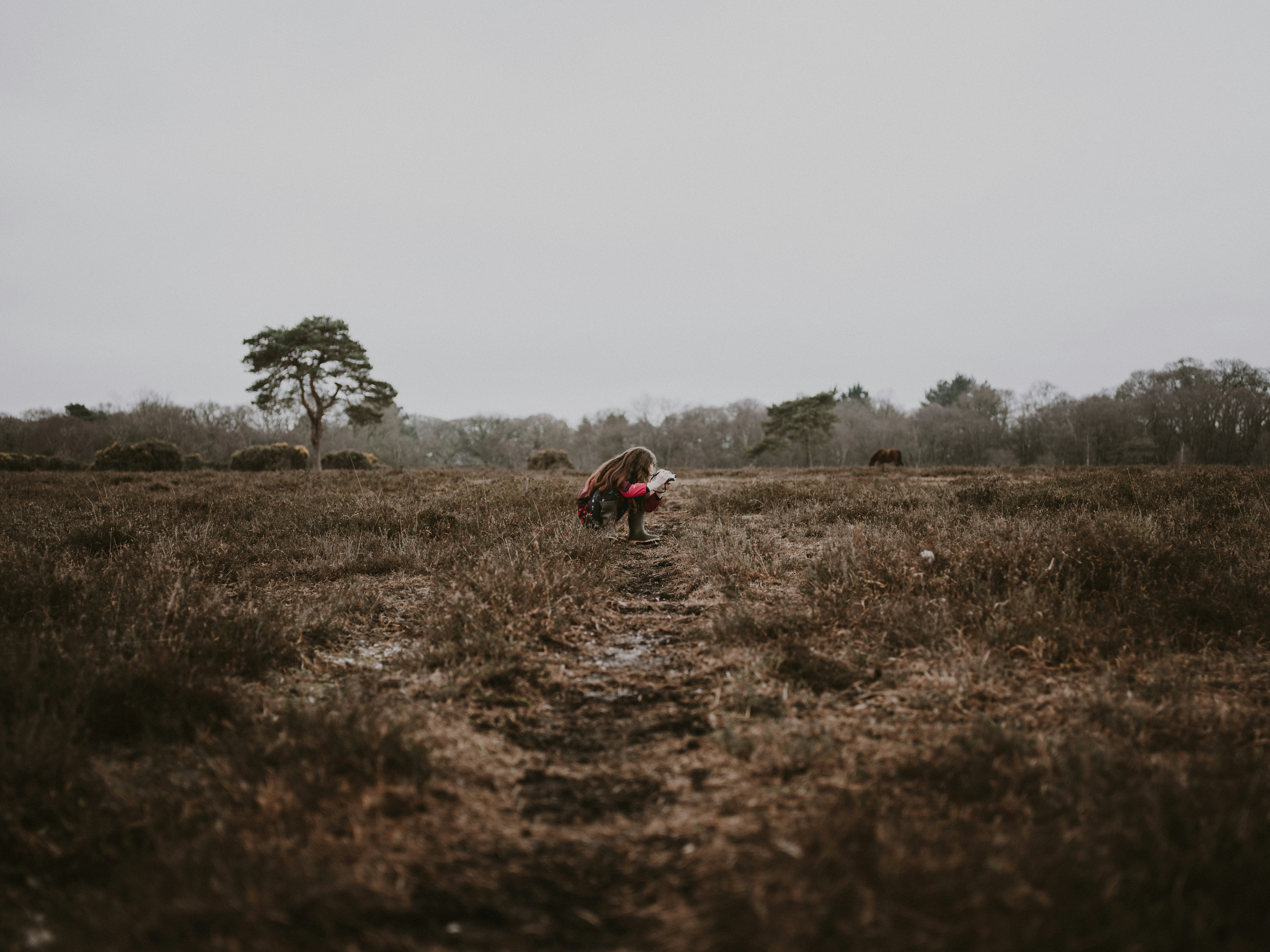 Photo by anniespratt