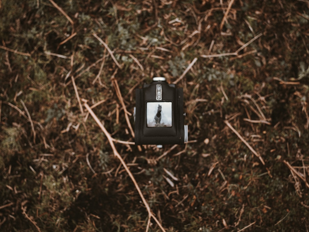 black camera on grass