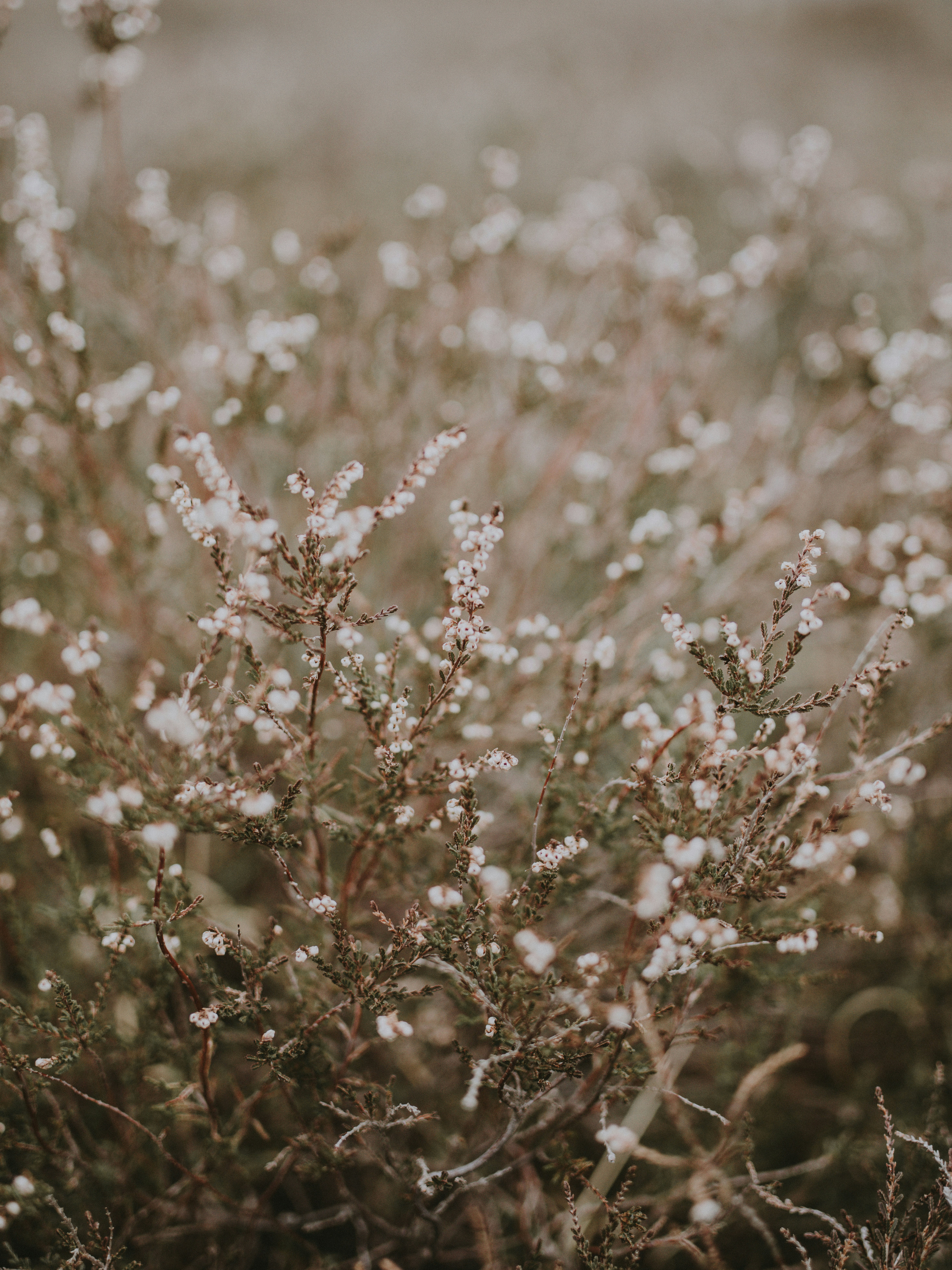 Photo by anniespratt