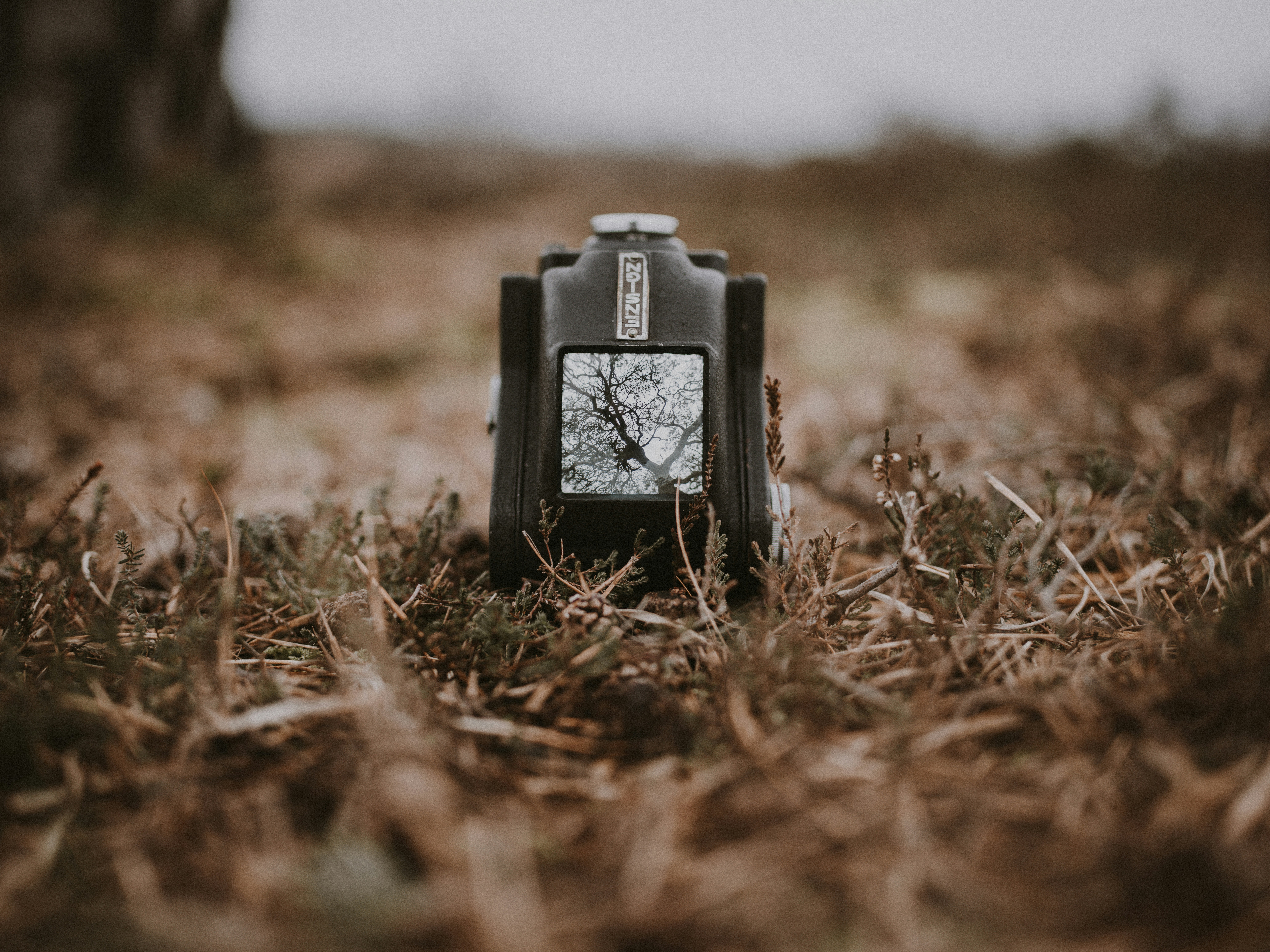 Photo by anniespratt