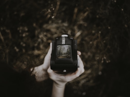 A black-and-white photo of a young photographer holding an old film camera in a sunlit forest.