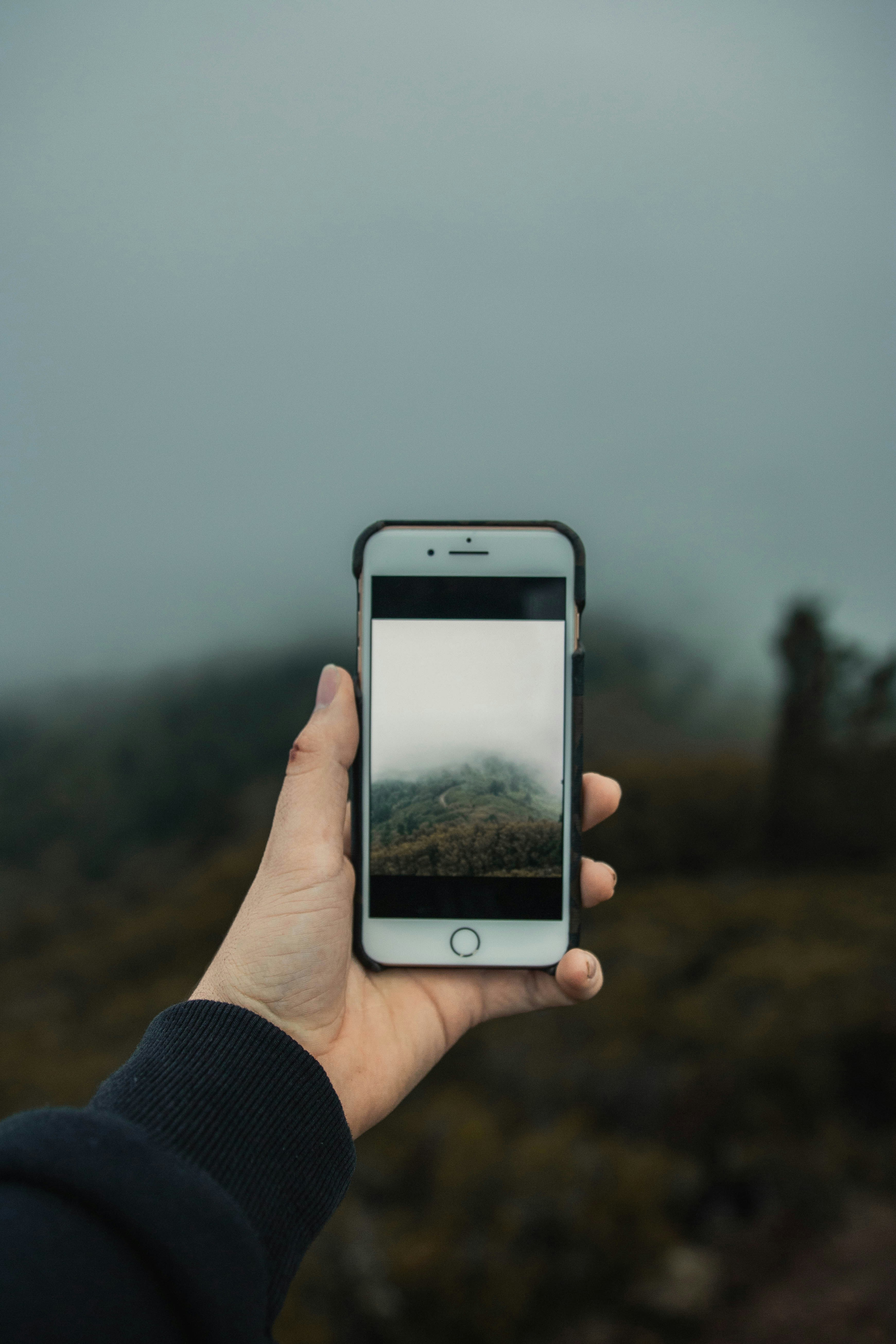 Photo by relentlessjpg