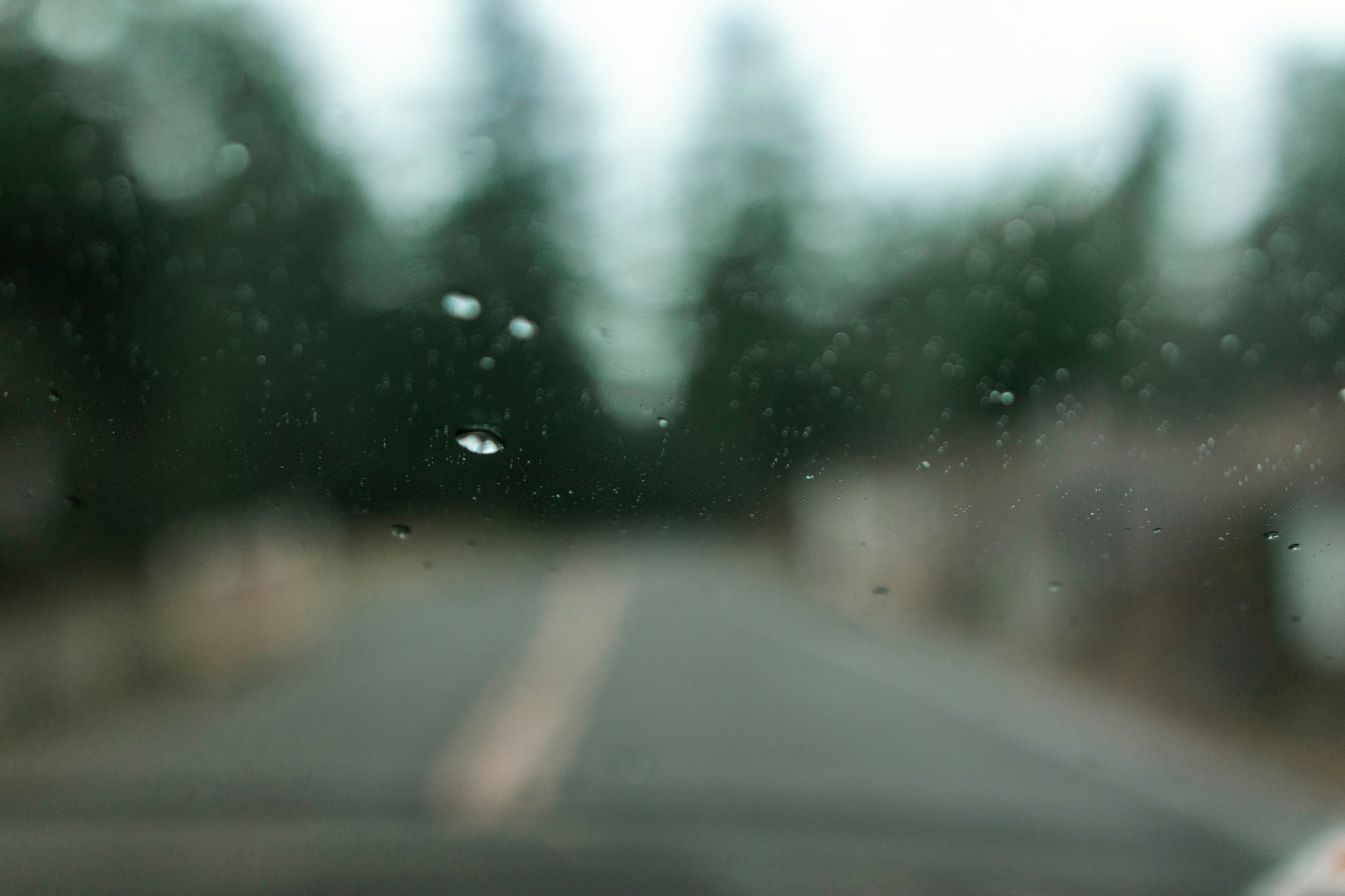 Photo by relentlessjpg