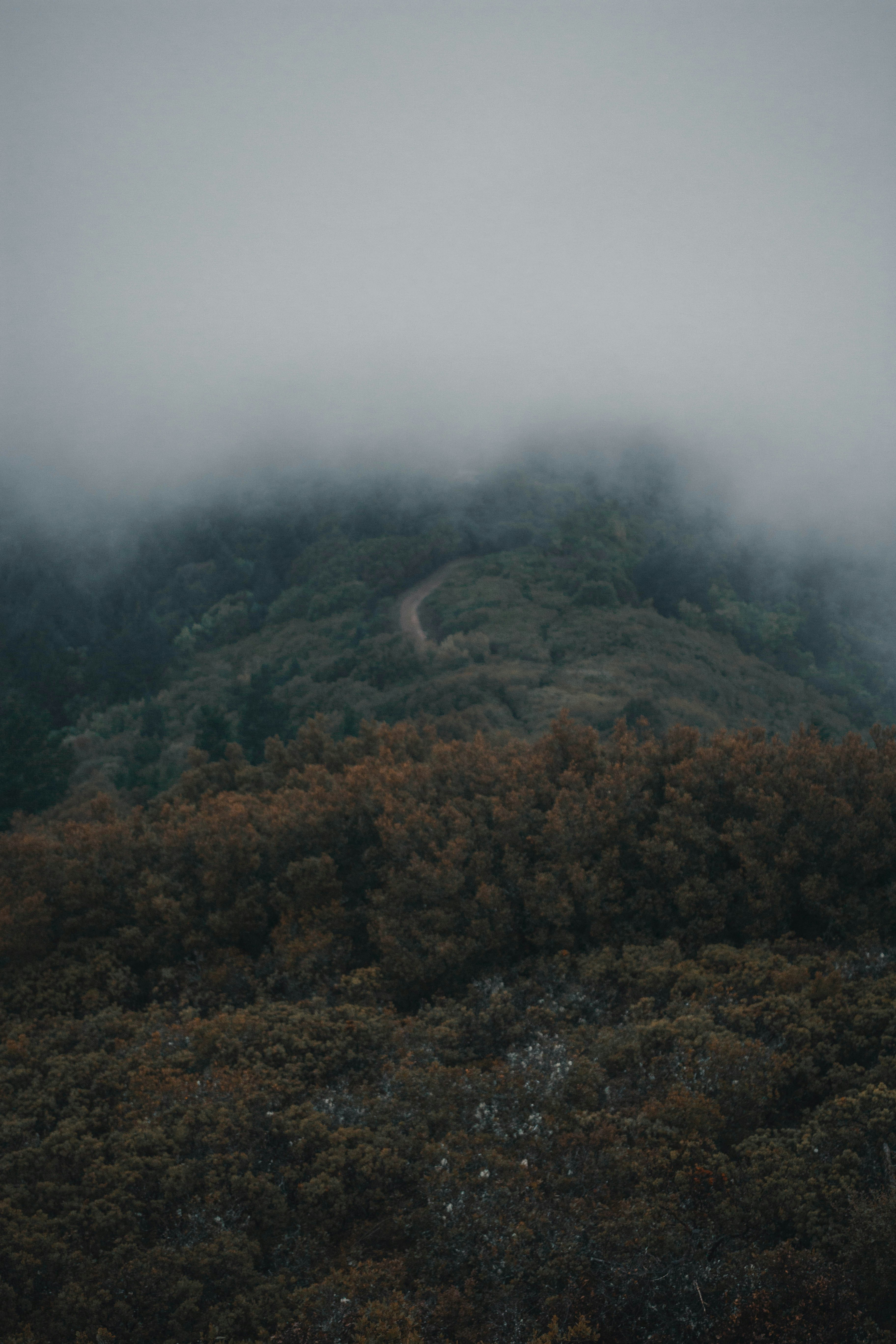 Photo by relentlessjpg