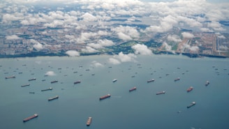 Aerial view of numerous cargo ships scattered across a large body of water near a coastline. Puffy white clouds hover over the scene, casting soft shadows on the water. In the distance, urban landscape with clusters of buildings and green areas is visible.