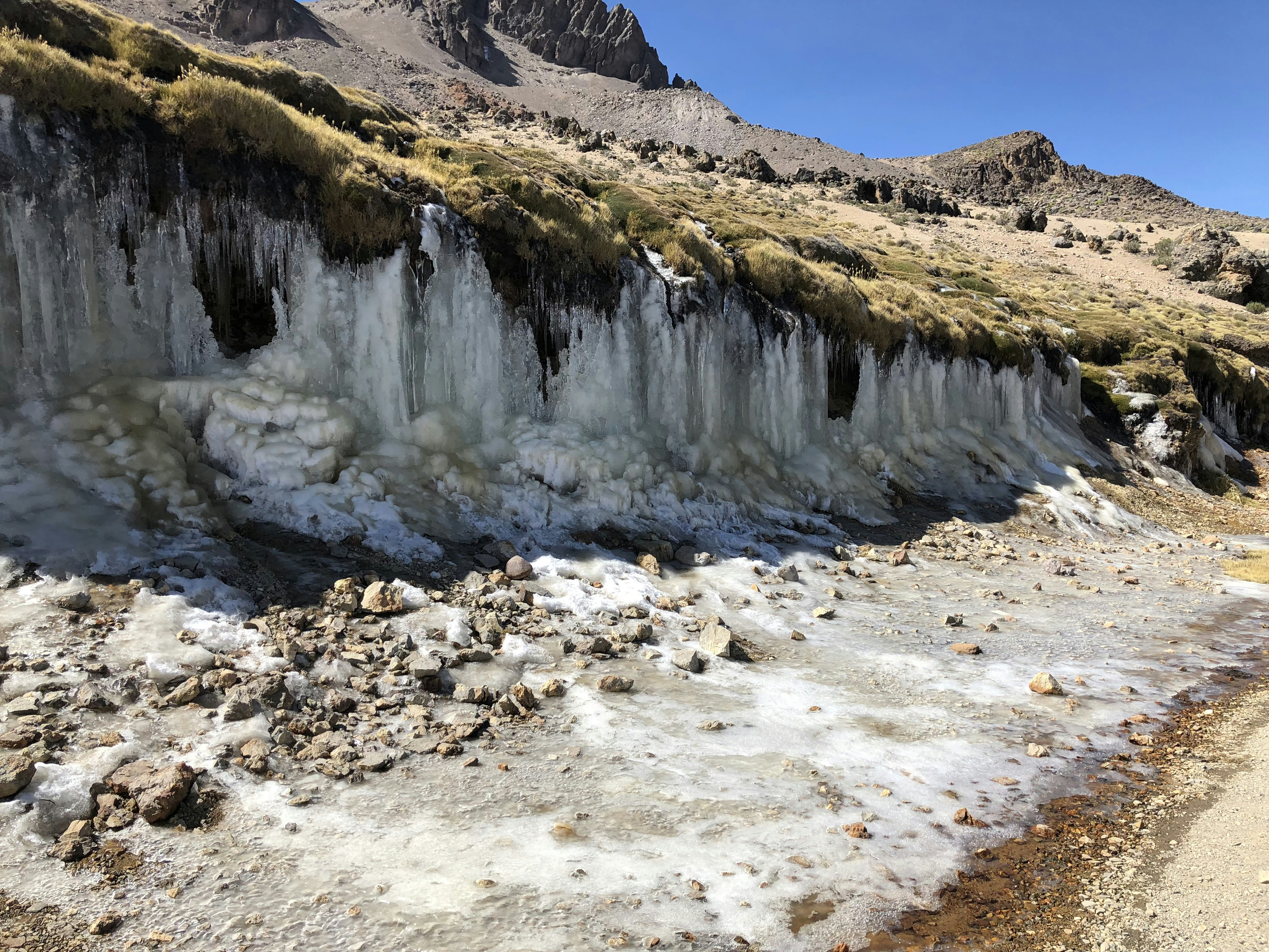 Ancient DNA and Genetic Time Machines (image credits: unsplash)